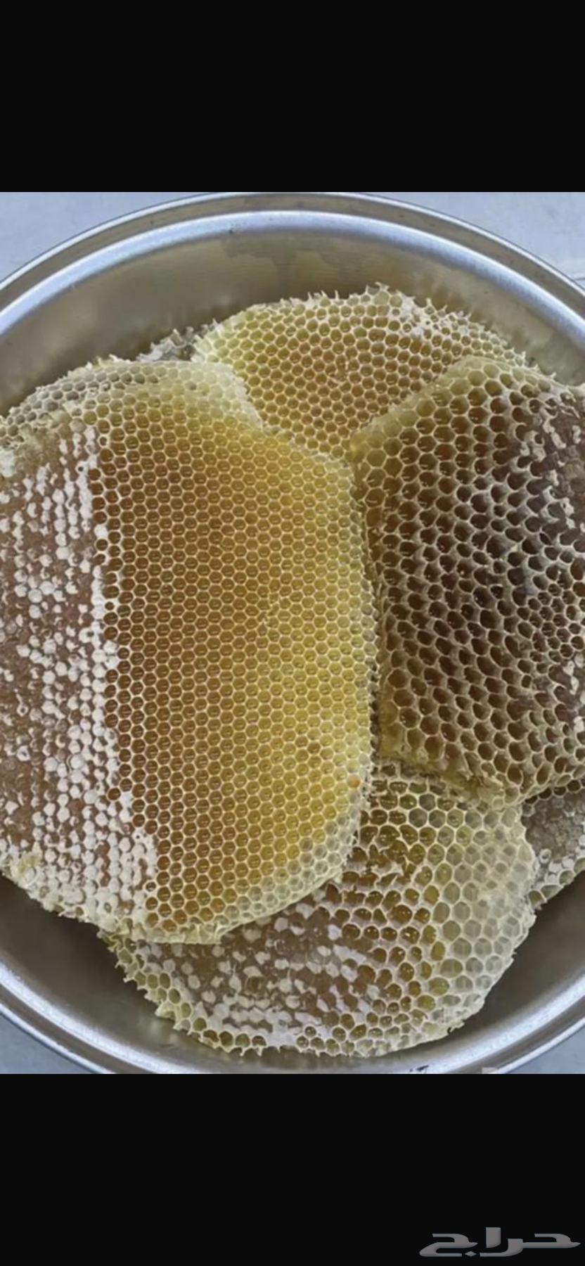Pure Sidr Honey ((Special Offer))64400327742722111