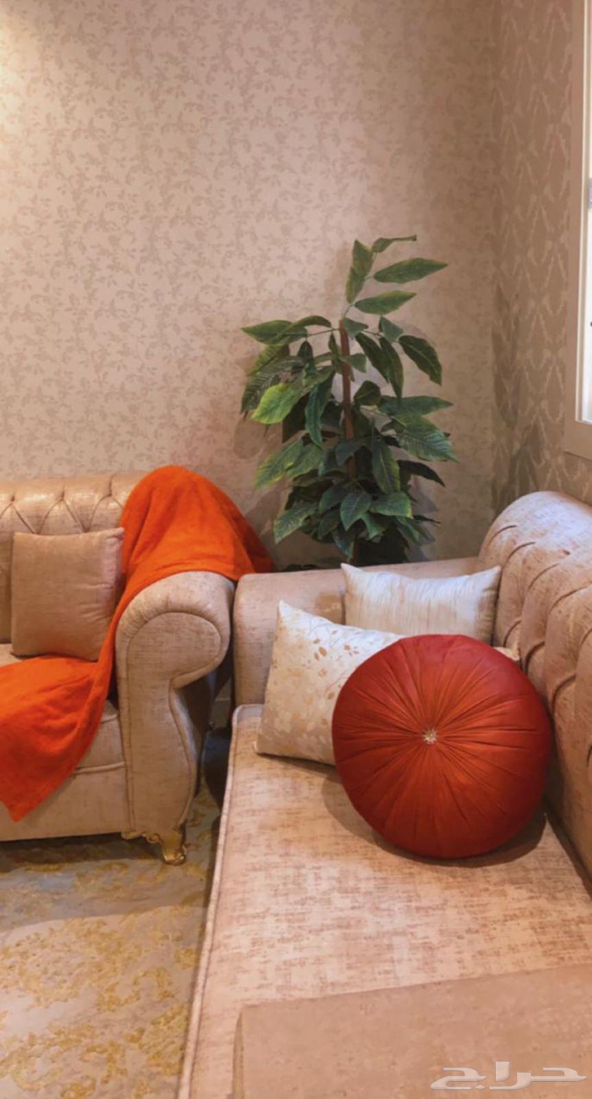 Sofa64394537203843110