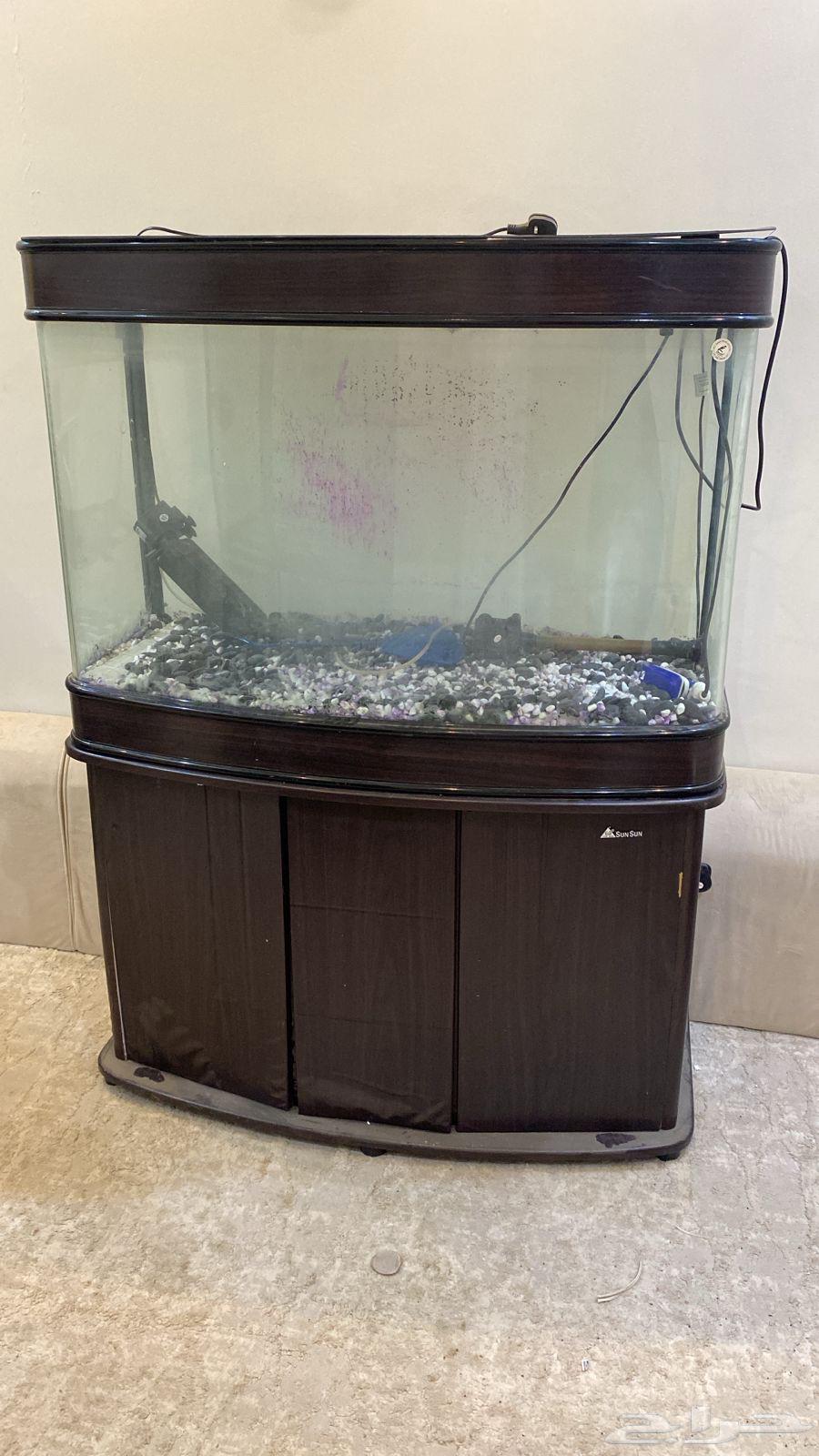 احواض سمك64392977687937112