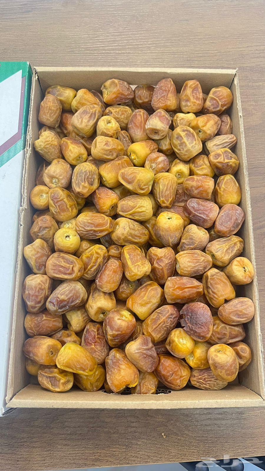 Tamr Mafatil64397977469059110