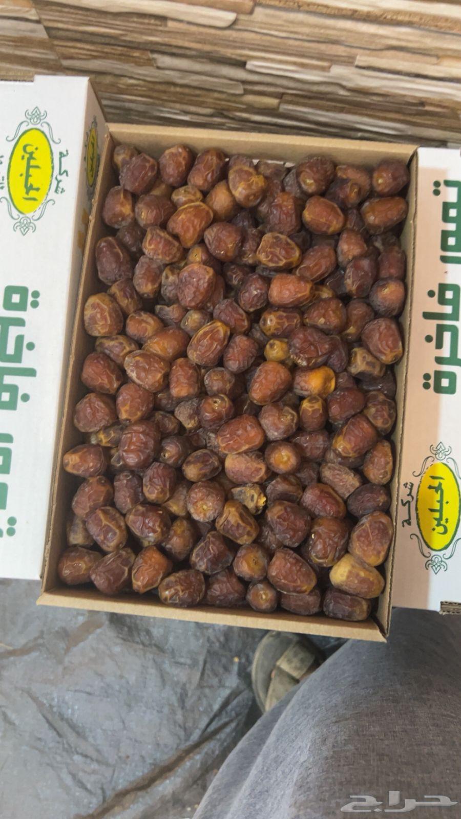 تمر سكري رطب ومفتل وجالكسي ورشودي64401202898305112