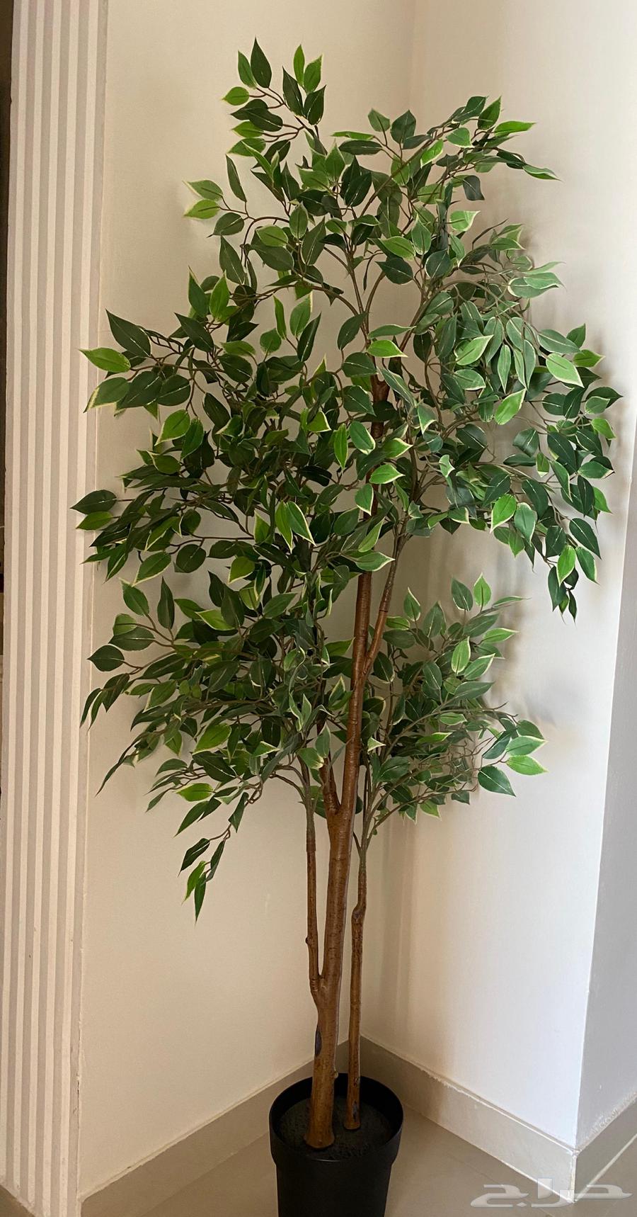 Artificial tree from IKEA - New64397228272387113