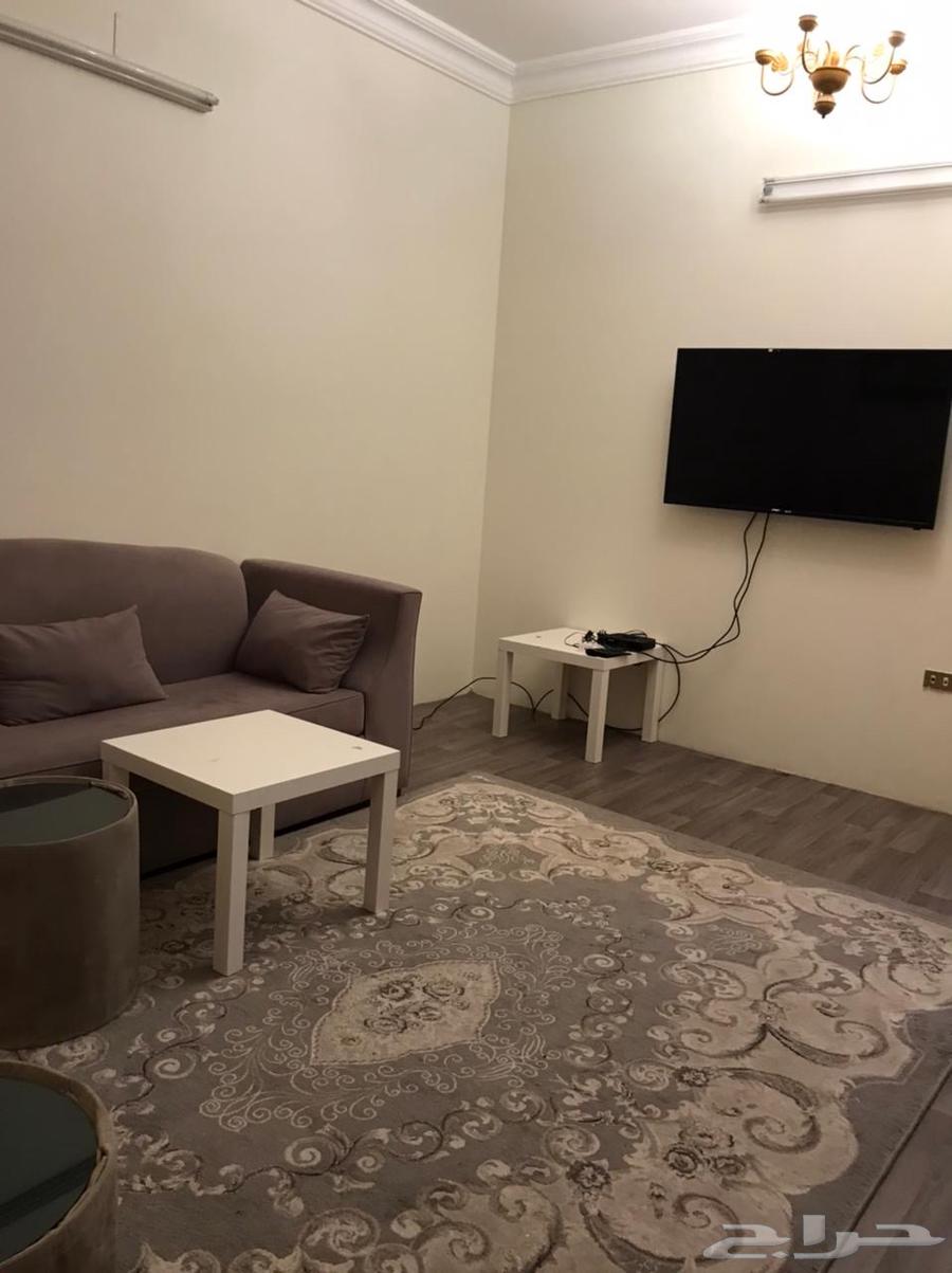 شقه مفروشه63614086590081113