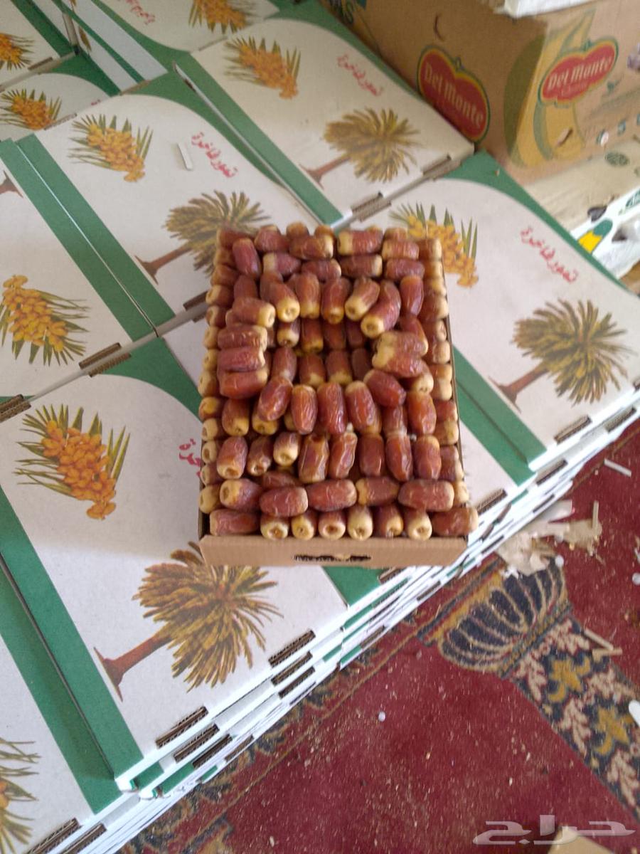 صقعي فاخر عليه سوم 130والبيع قريب64394593192449111