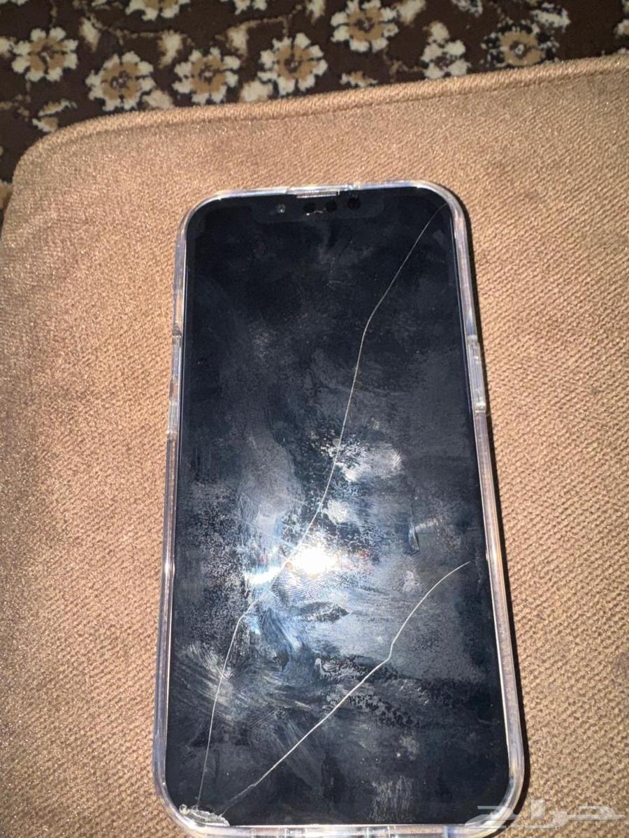 iPhone 13 Normal64392538722179112