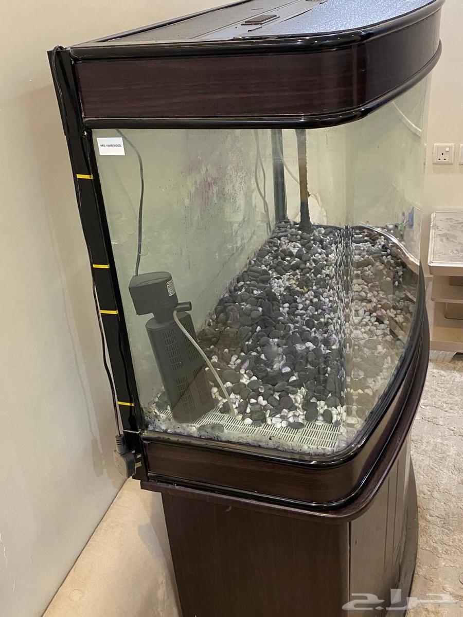 احواض سمك64392977687937113