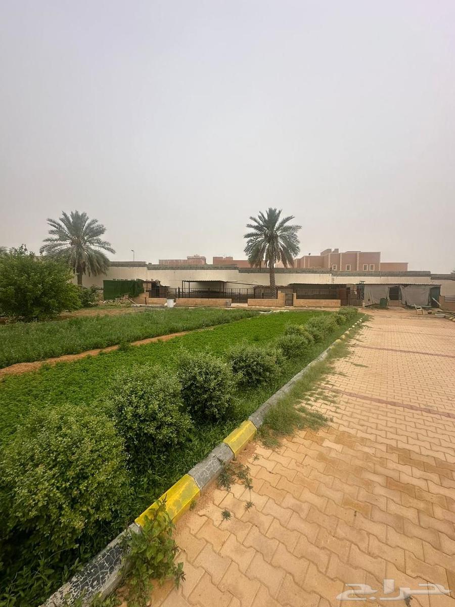 للبيع فلة مع المزرعة على 3 شوارع63614097789955113