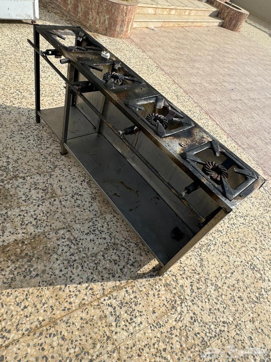 قز 4 عيون وقز عينين64395213637633110