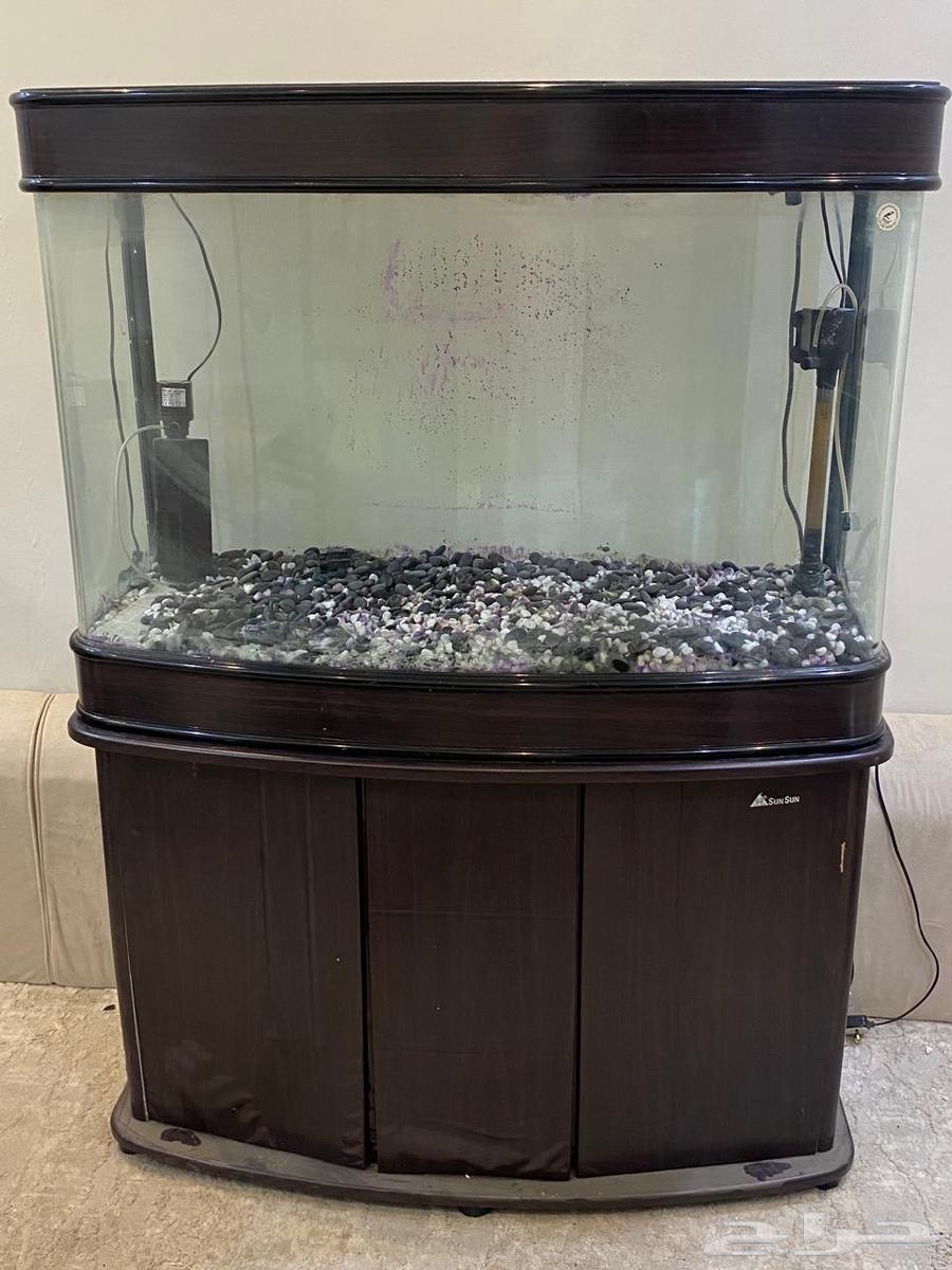 احواض سمك64392977687937110