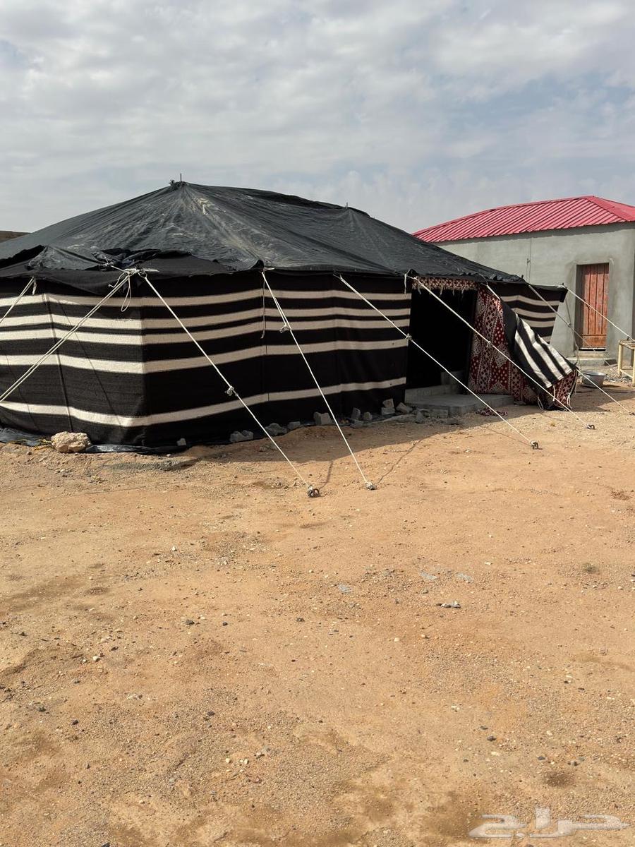 خيمه للبيع64400939115779110
