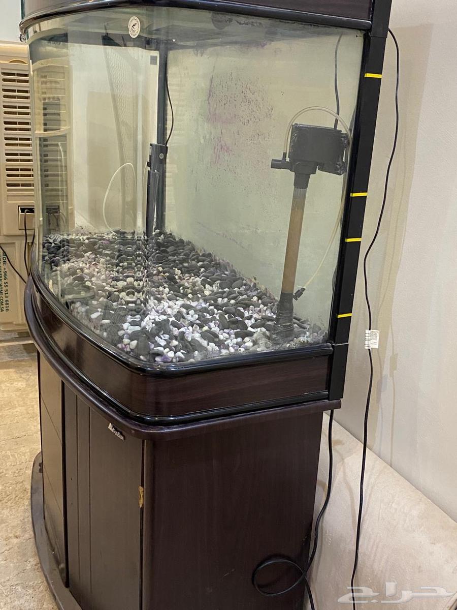 احواض سمك64392977687937111