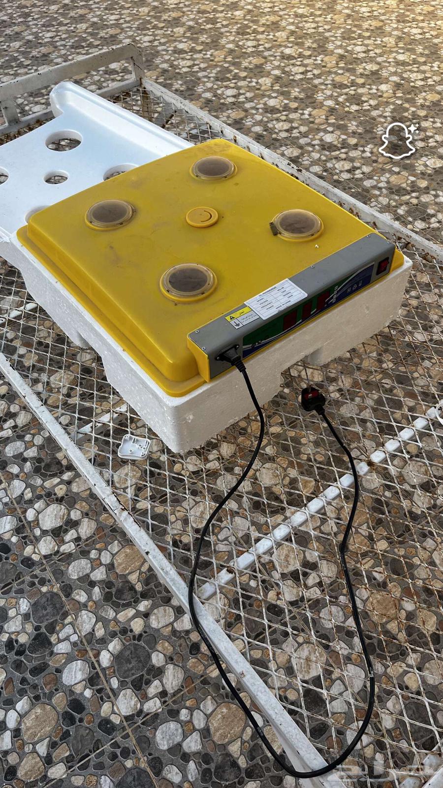 فقاسة للبيع64402175932545110