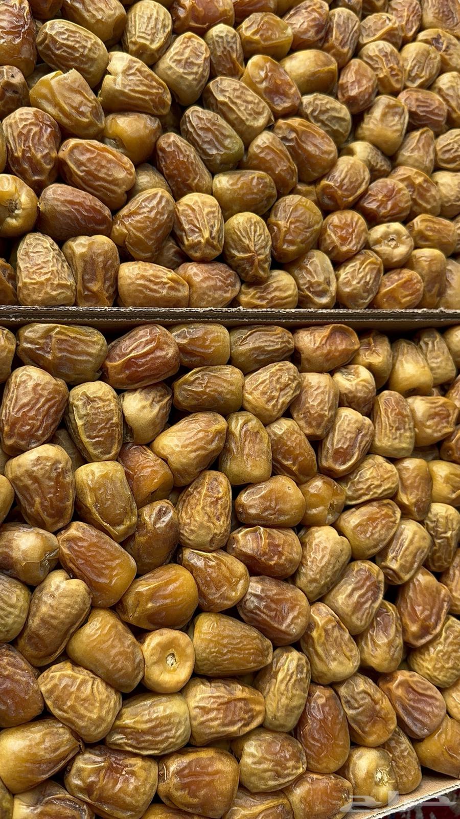 Limited quantity of yellow sukari mutraf dates at symbolic price64404250433026110