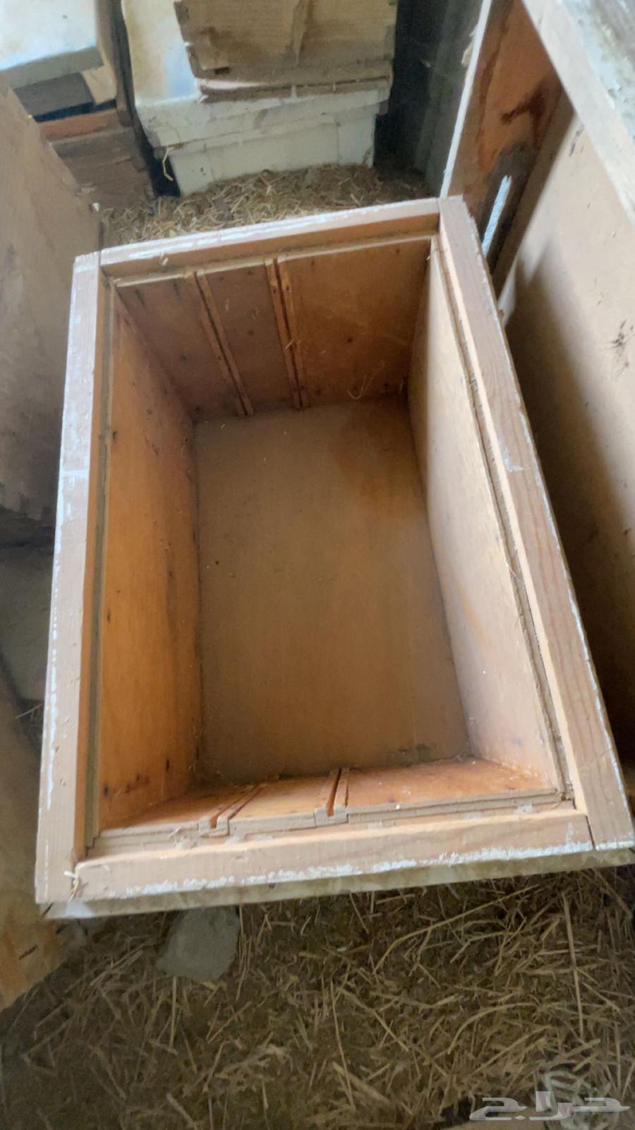 خلايا افرنجي مستعمله64404111558531113