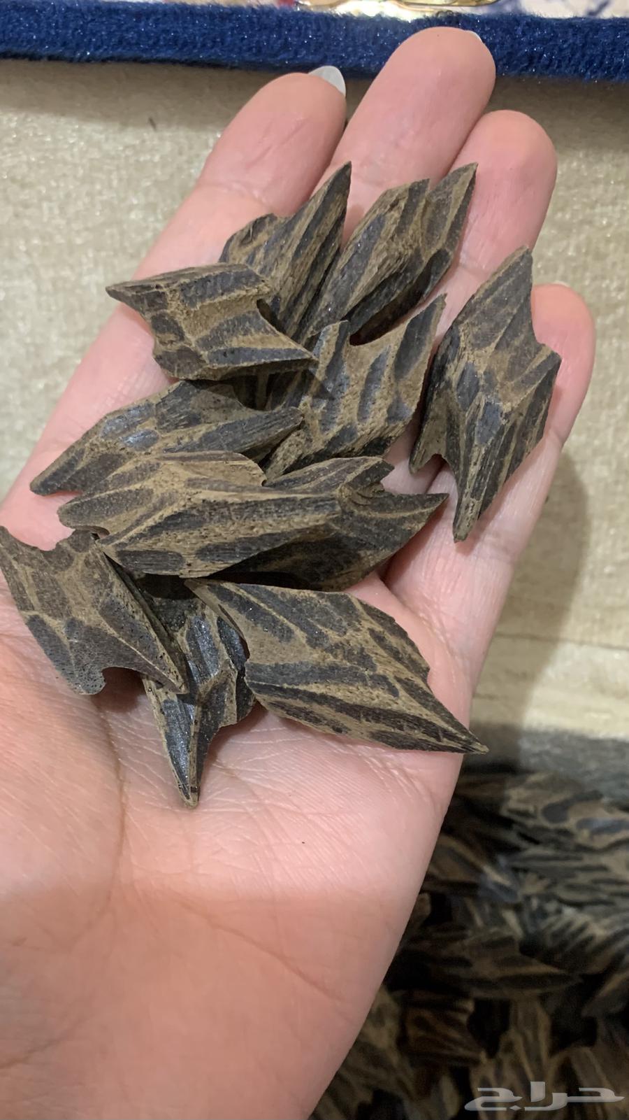 عود تايجر ملكي طبيعي متوفر خدمة تمارا64401814279042112