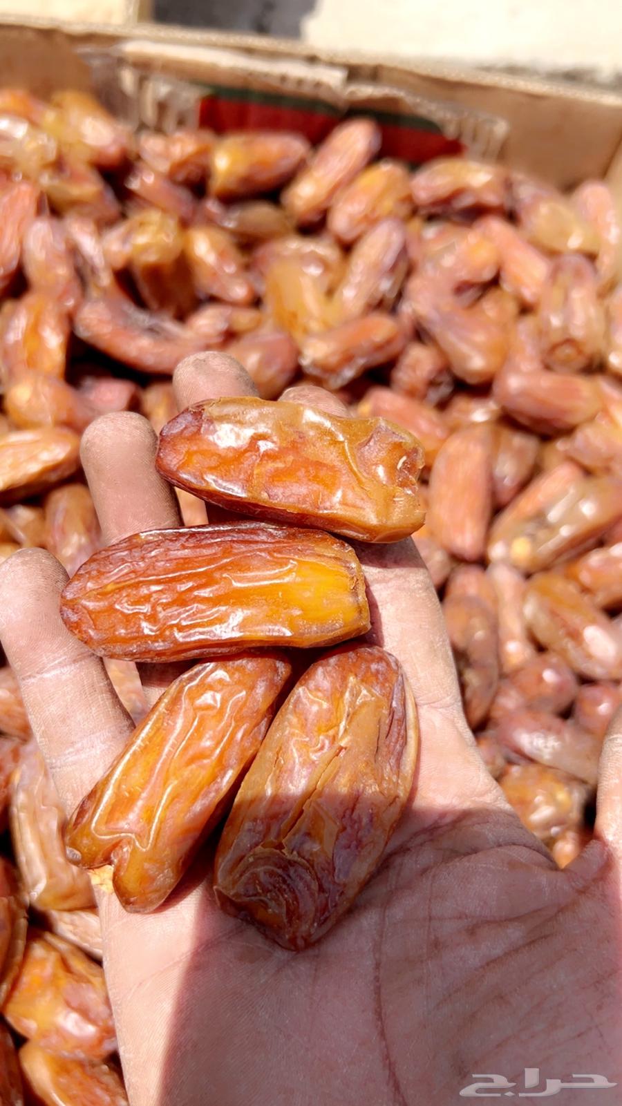 تمر صفري مكبوس تنك ارباع حبه كبيره جامبو وحبه وسط ومشروط64404361456770110