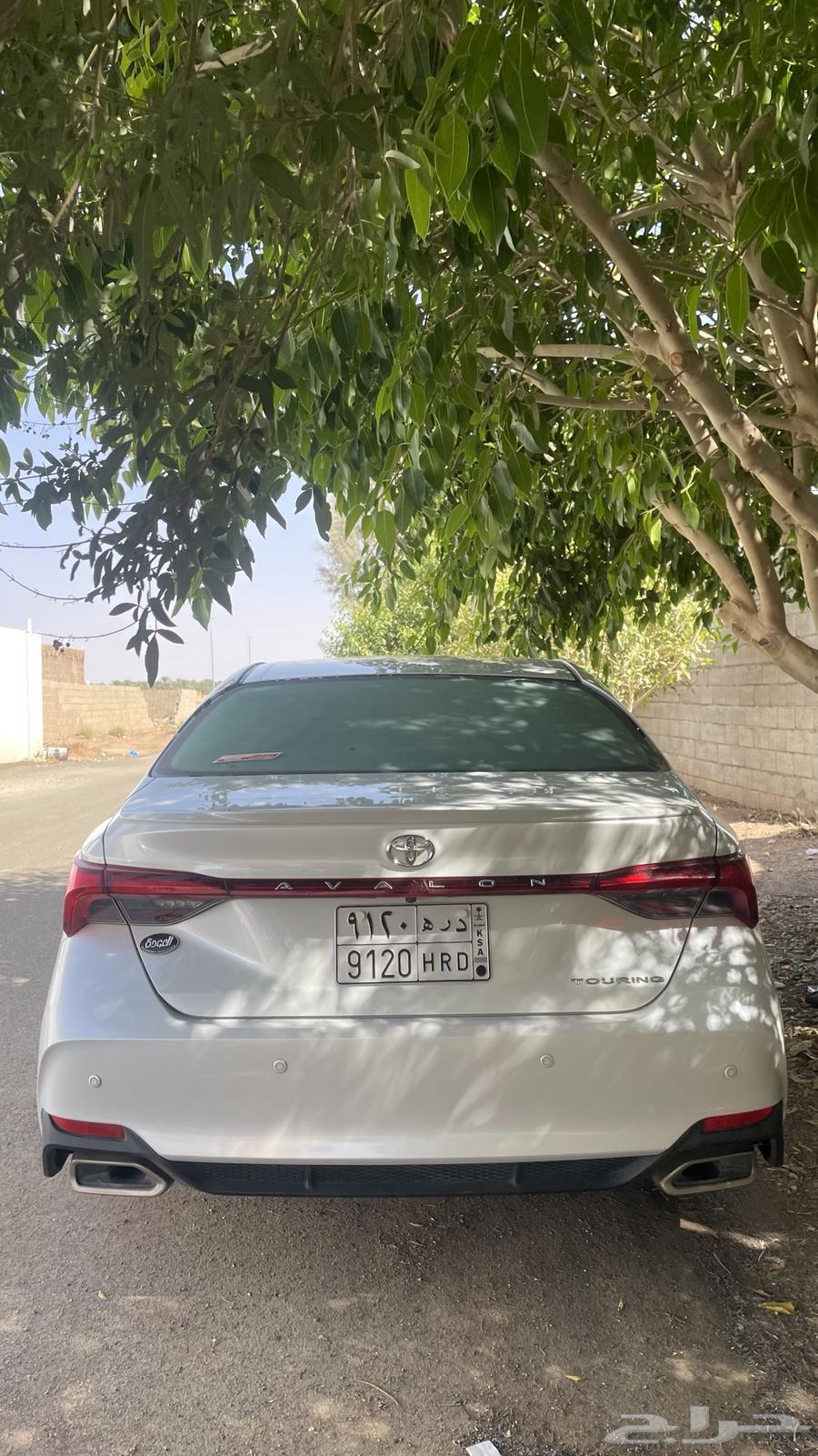 افالون تورنق 202063618267052802113