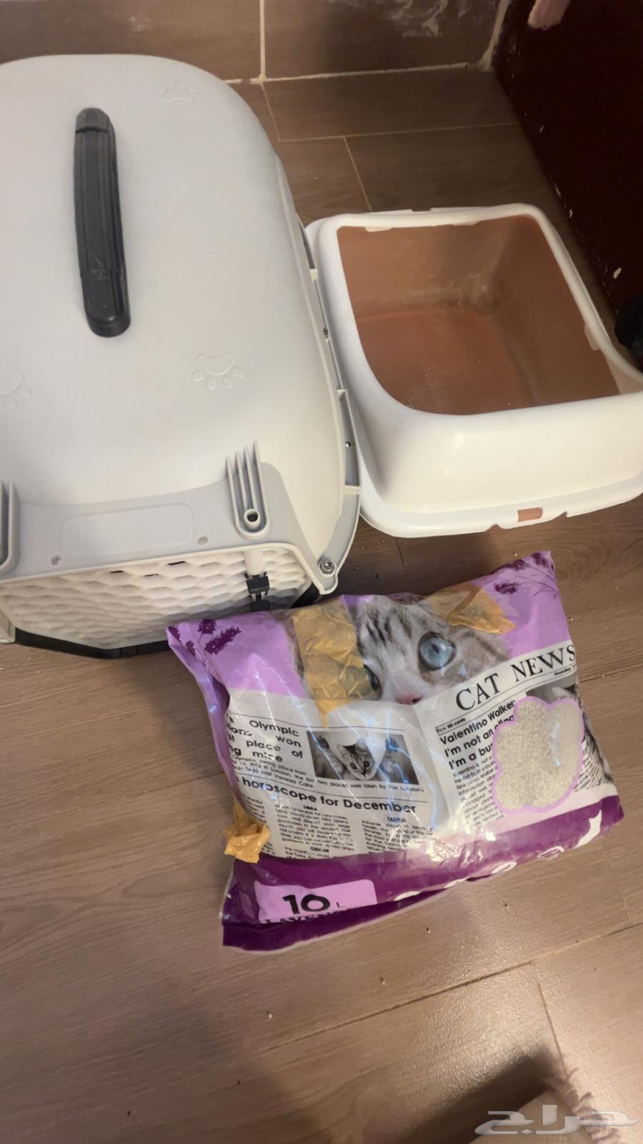 Cat supplies64402636695937112