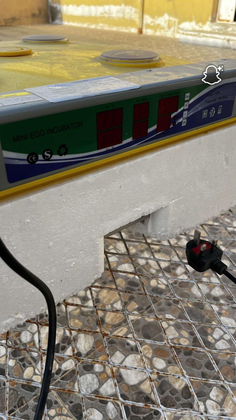 فقاسة للبيع64402175932545113