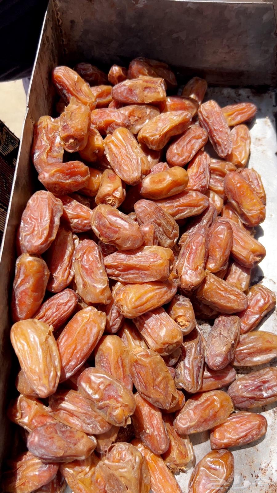 تمر صفري مكبوس تنك ارباع حبه كبيره جامبو وحبه وسط ومشروط64404361456770111