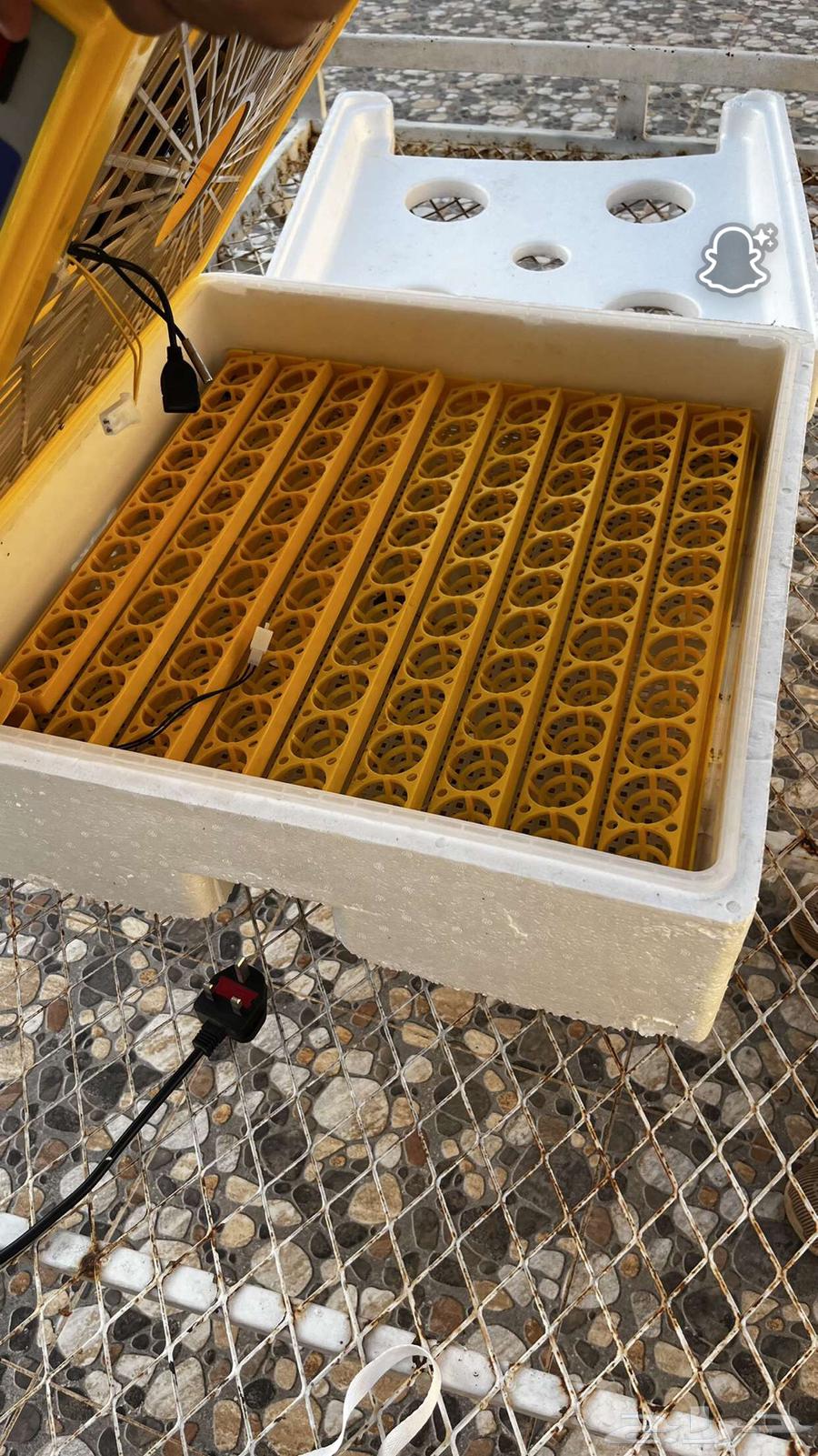 فقاسة للبيع64402175932545111