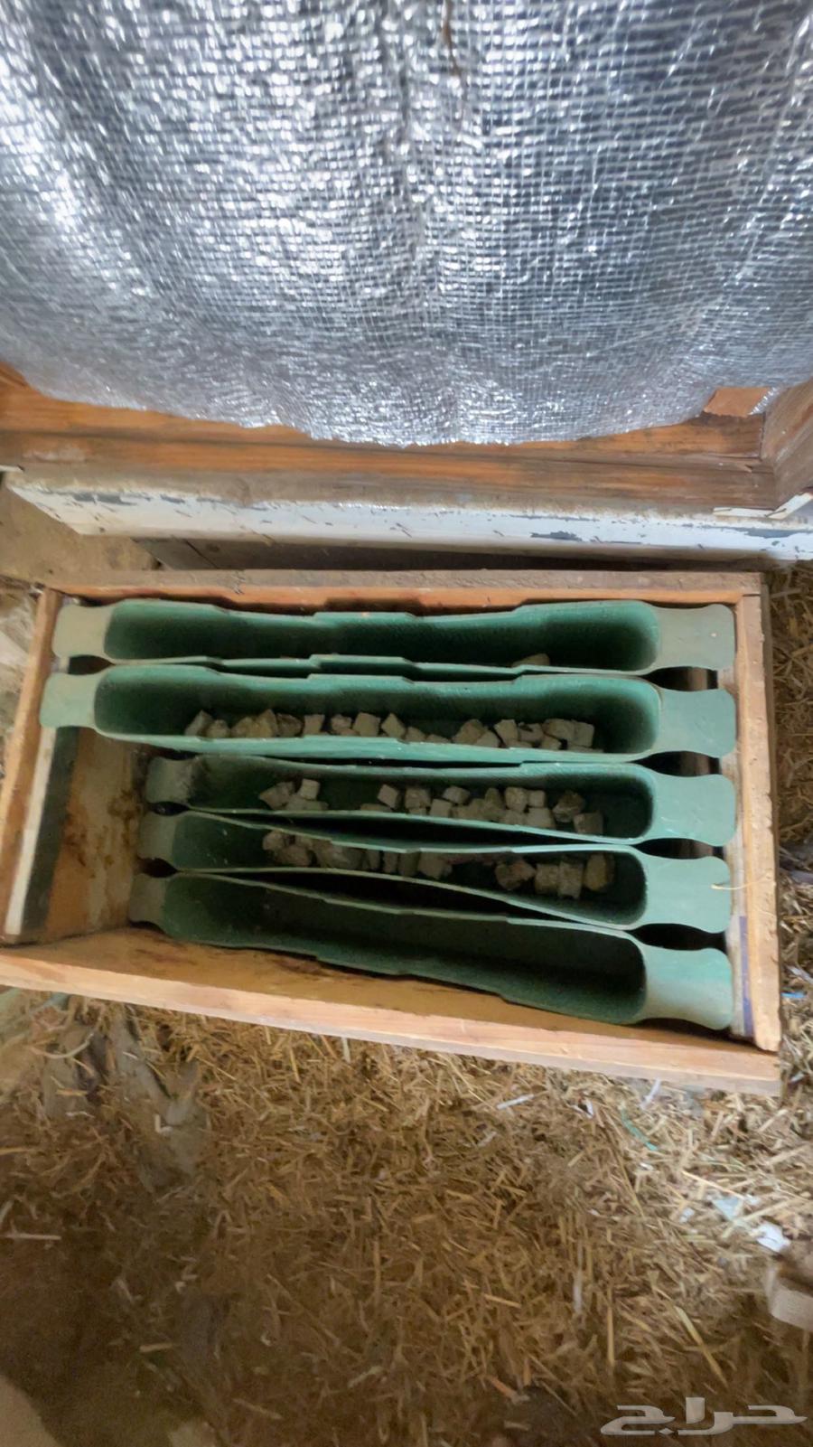 خلايا افرنجي مستعمله64404111558531112