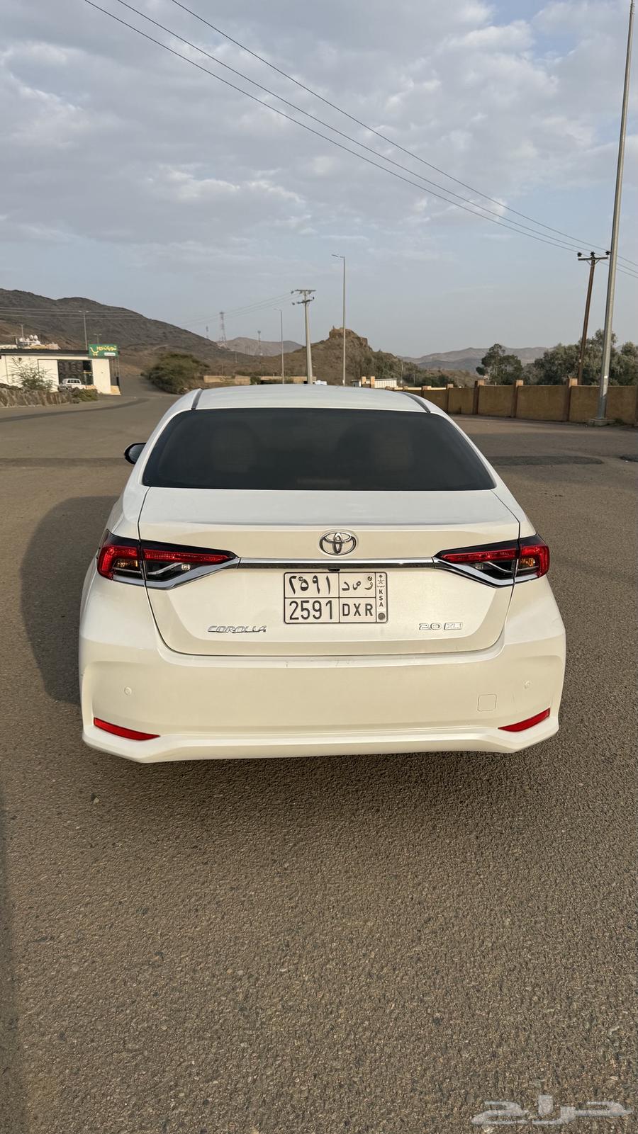 Korla202364557154565123114