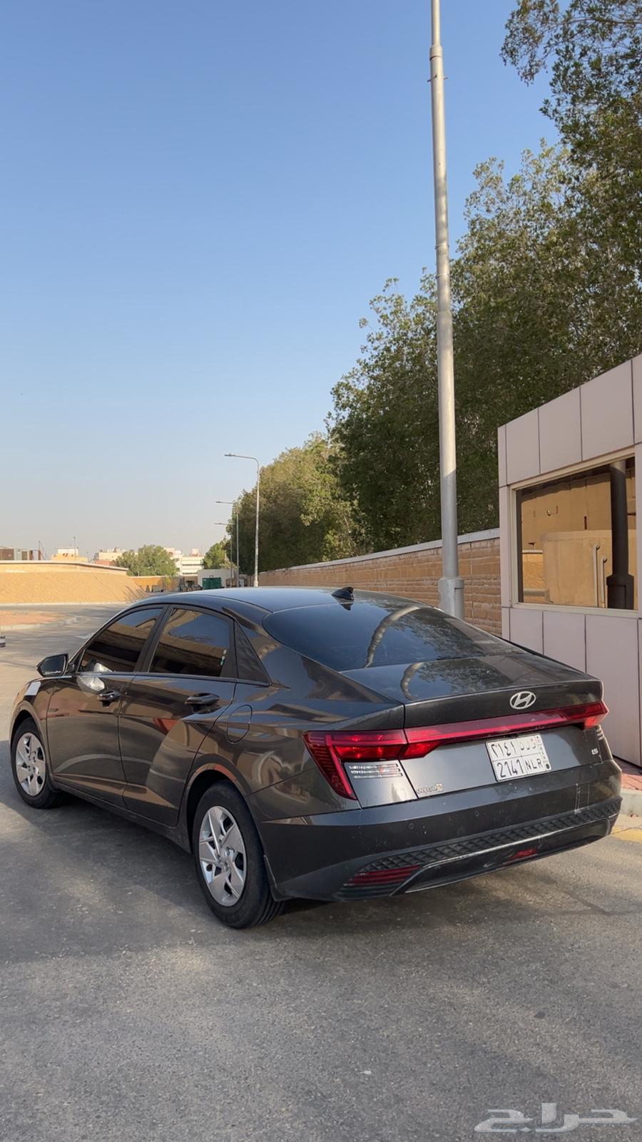 طيس اكسنت مع جنوط للبيع64558266472066110