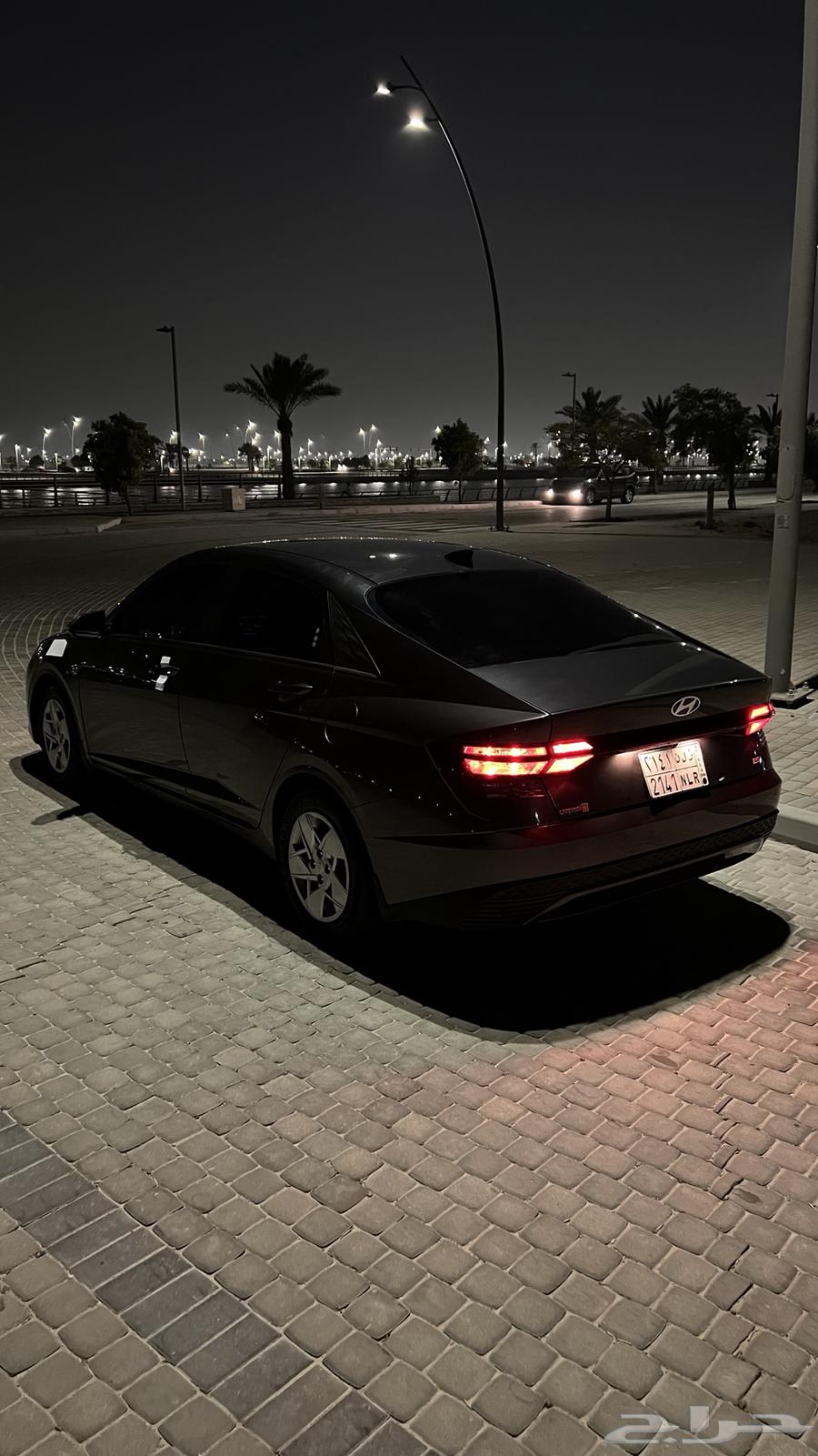 طيس اكسنت مع جنوط للبيع64558266472066112