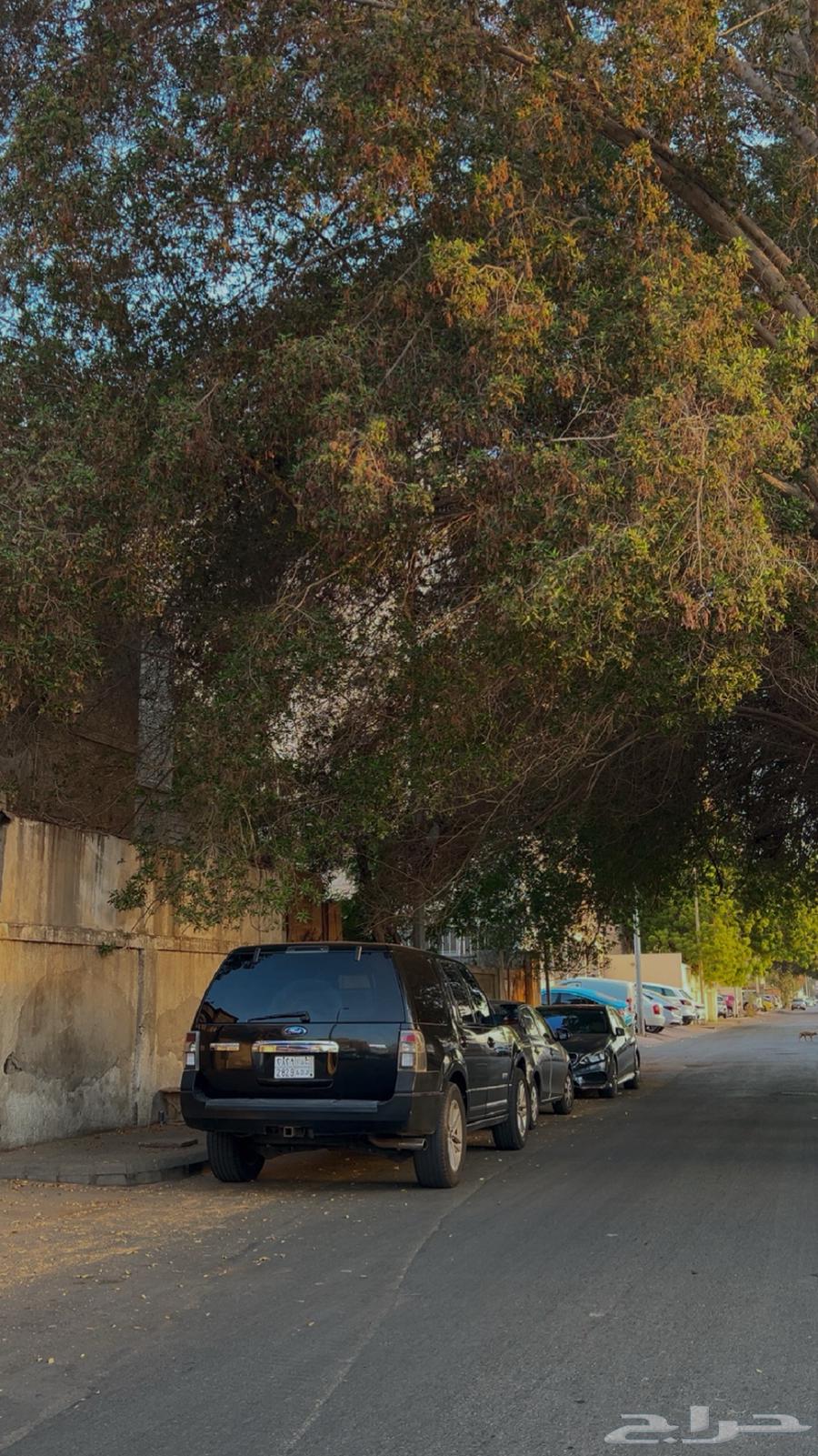 فورد اكسبديشن اسود لمتد امريكي63618156635651111
