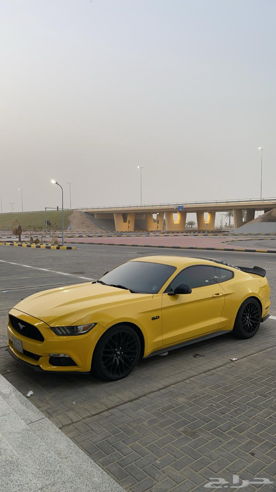 Ford Mustang 201663618267684611111
