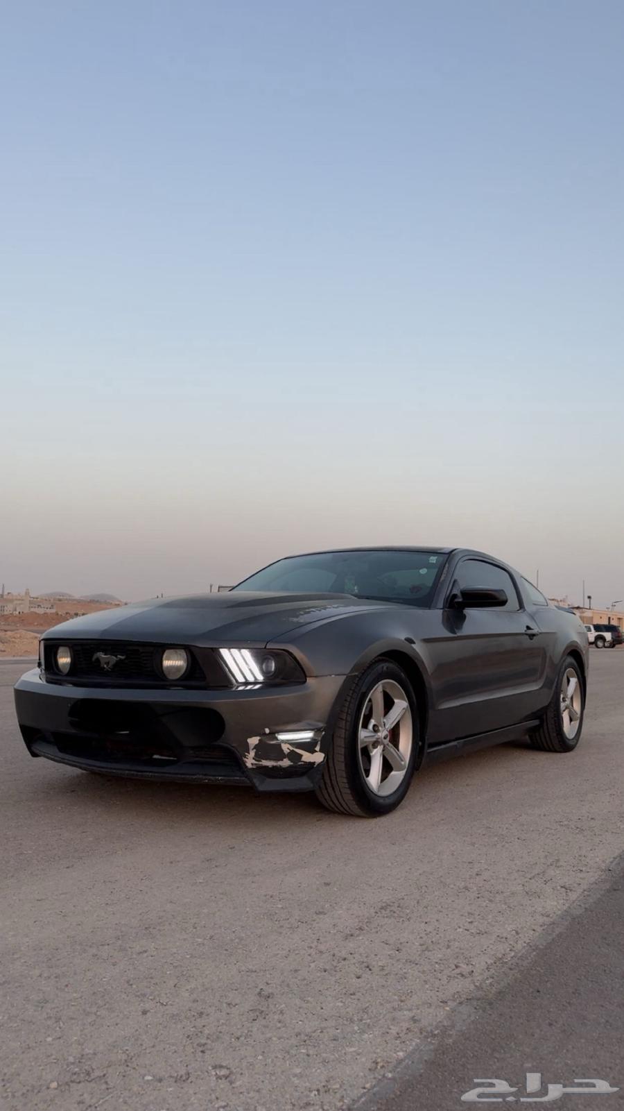 Mustang 2010 V8 Manual Transmission63618261309826111