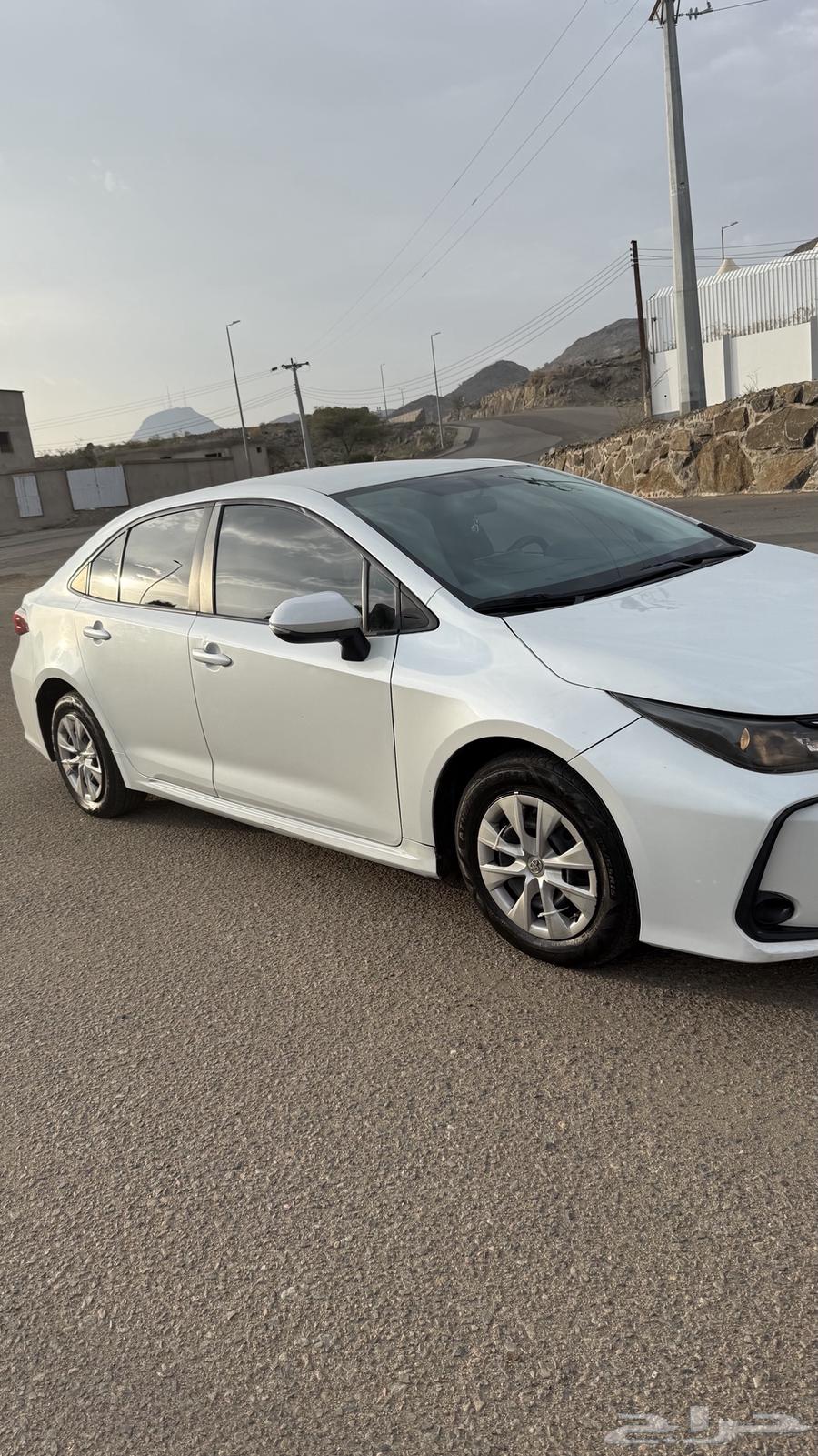 Korla202364557154565123113