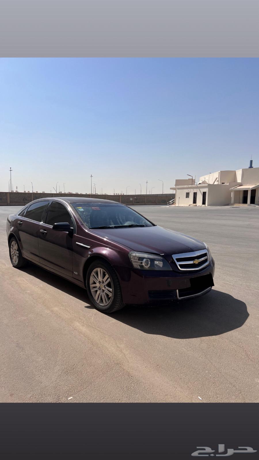 كابرس 13 عنابي63618260841731114