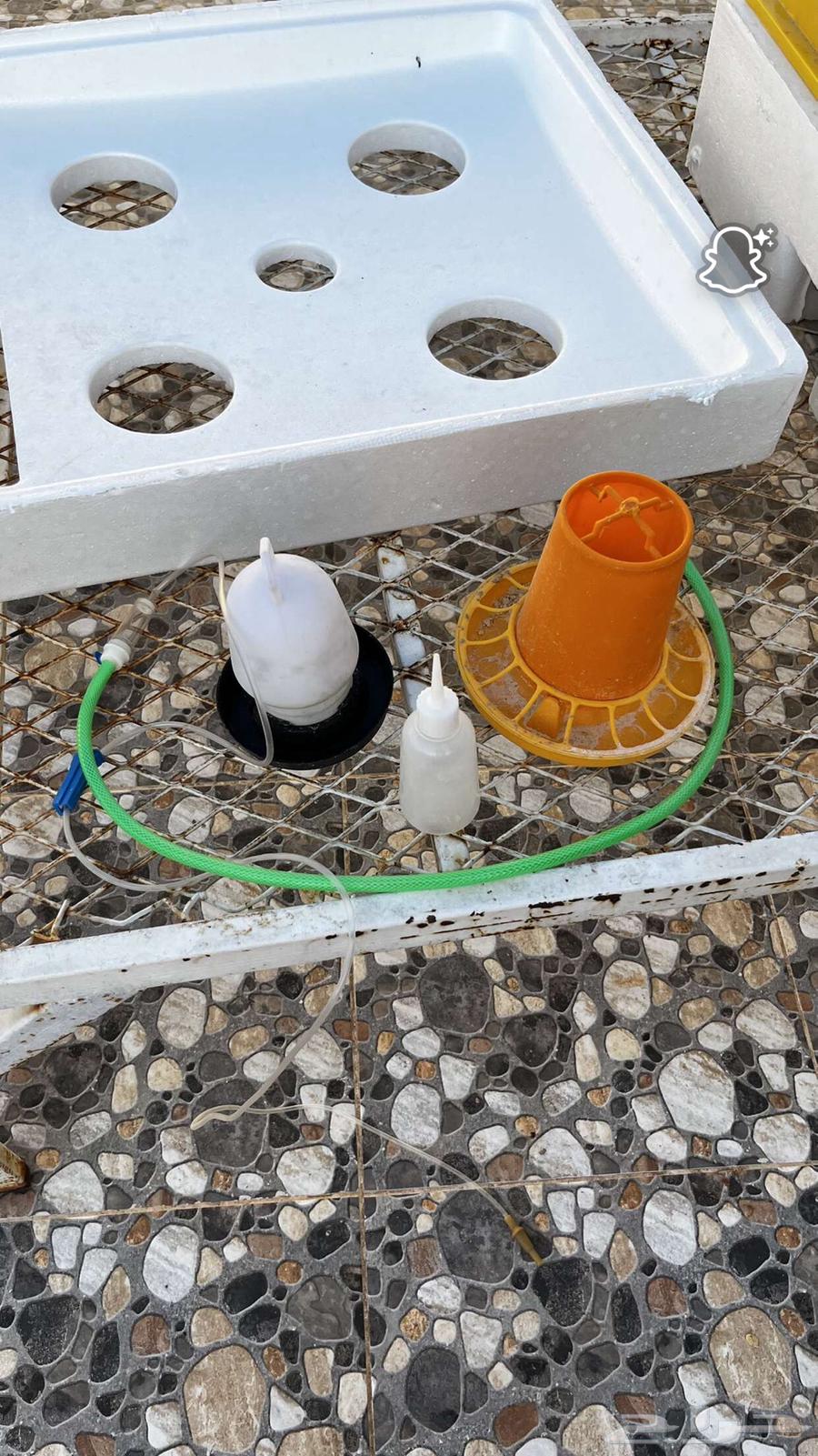 فقاسة للبيع64402175932545112