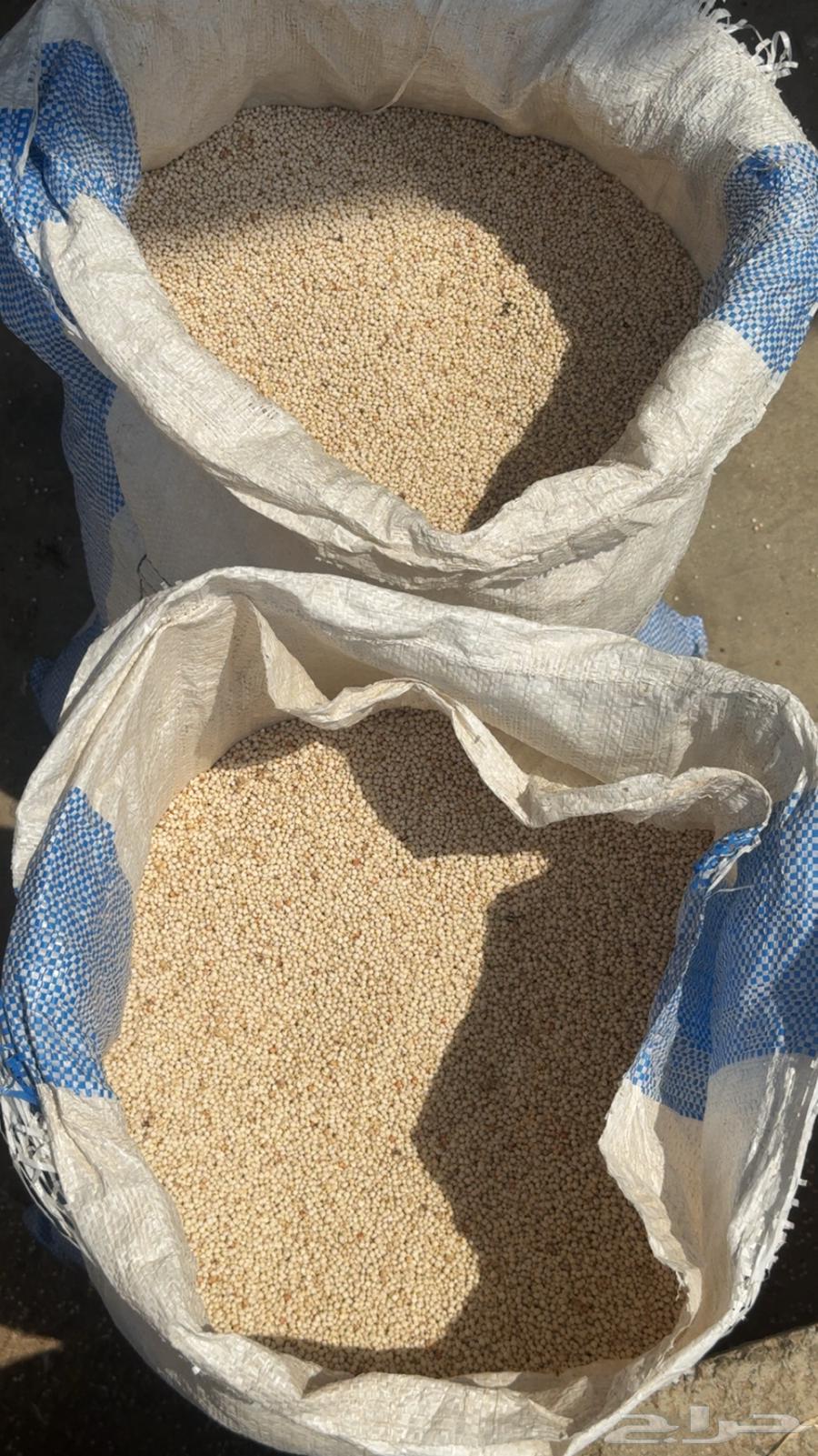 حب ذره ودخن64403202306691112