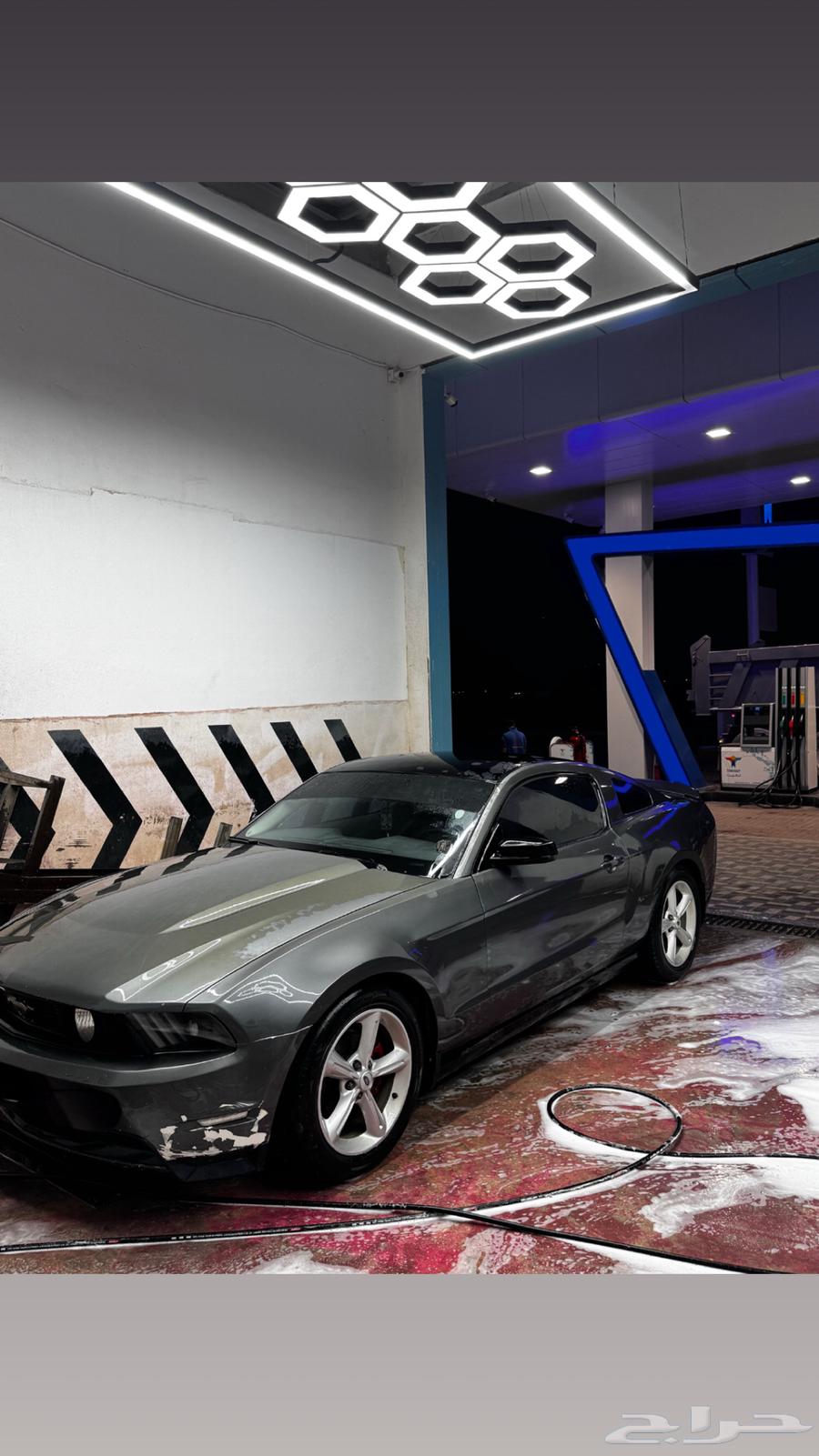 Mustang 2010 V8 Manual Transmission63618261309826112