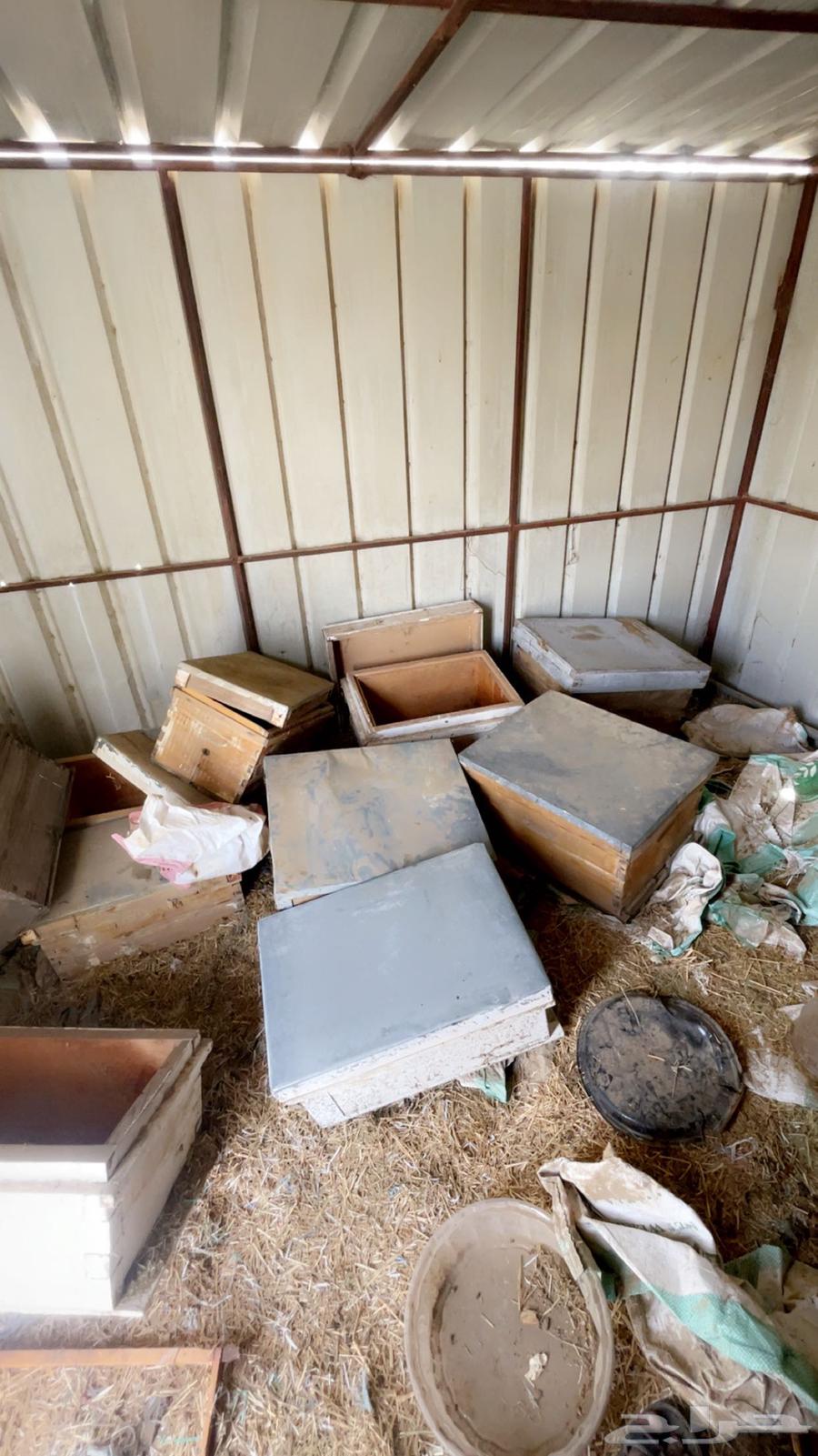 خلايا افرنجي مستعمله64404111558531110