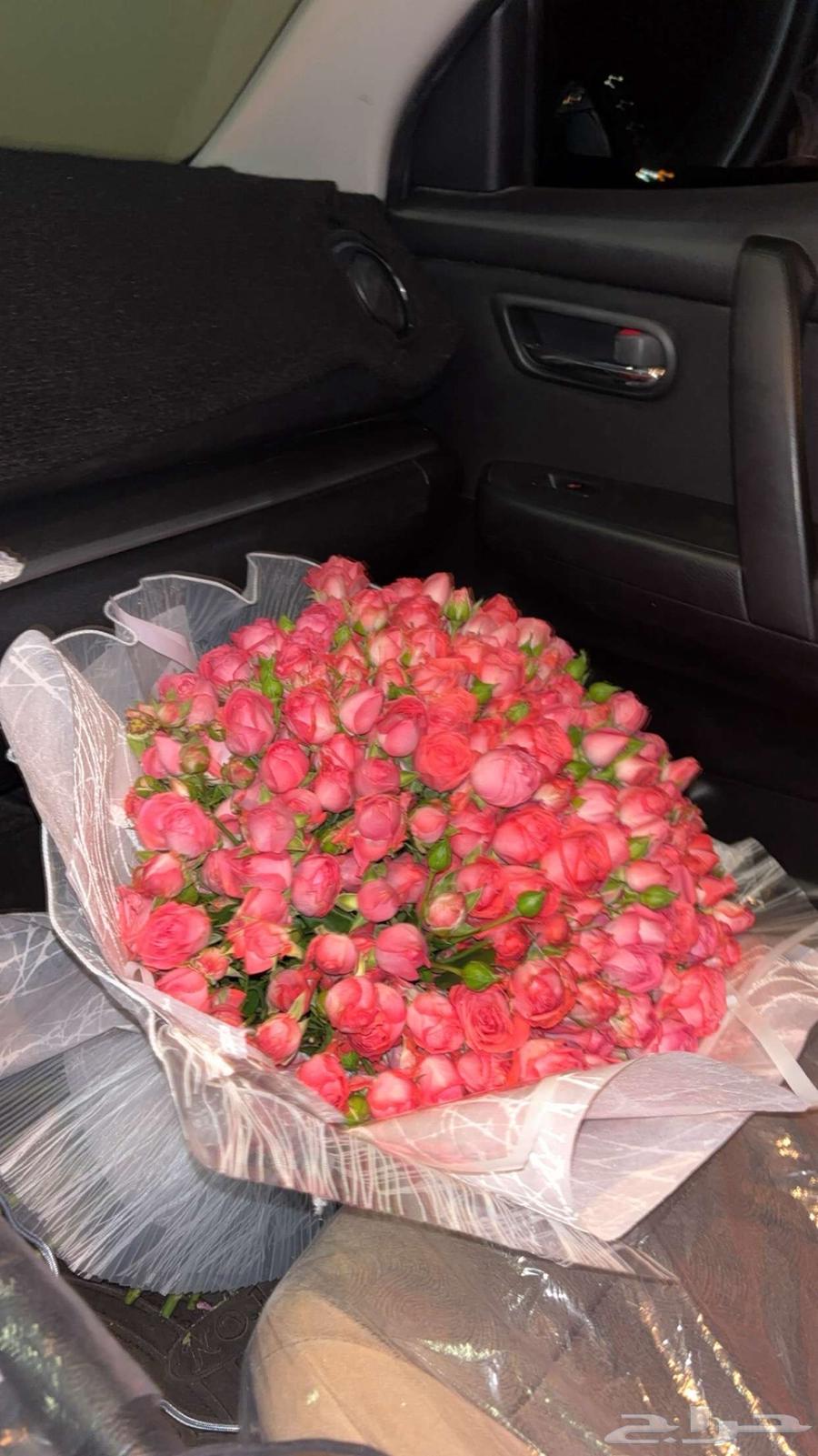 بيبي روز ب اسعار حلوه64402428661250110