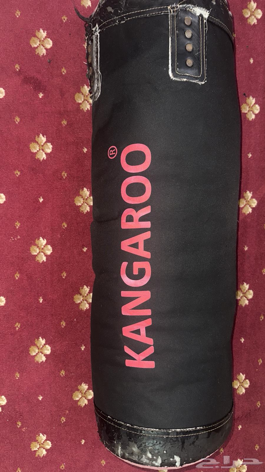 Boxing exercises64402983347202110