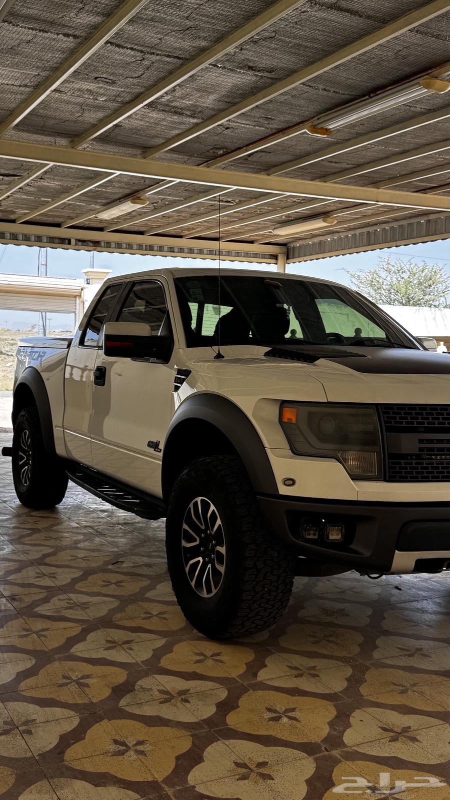 Raptor f15063618255157889111
