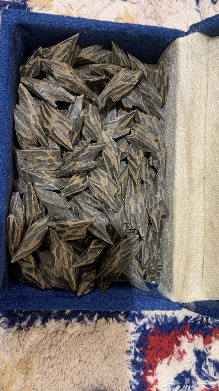 عود تايجر ملكي طبيعي متوفر خدمة تمارا64401814279042111