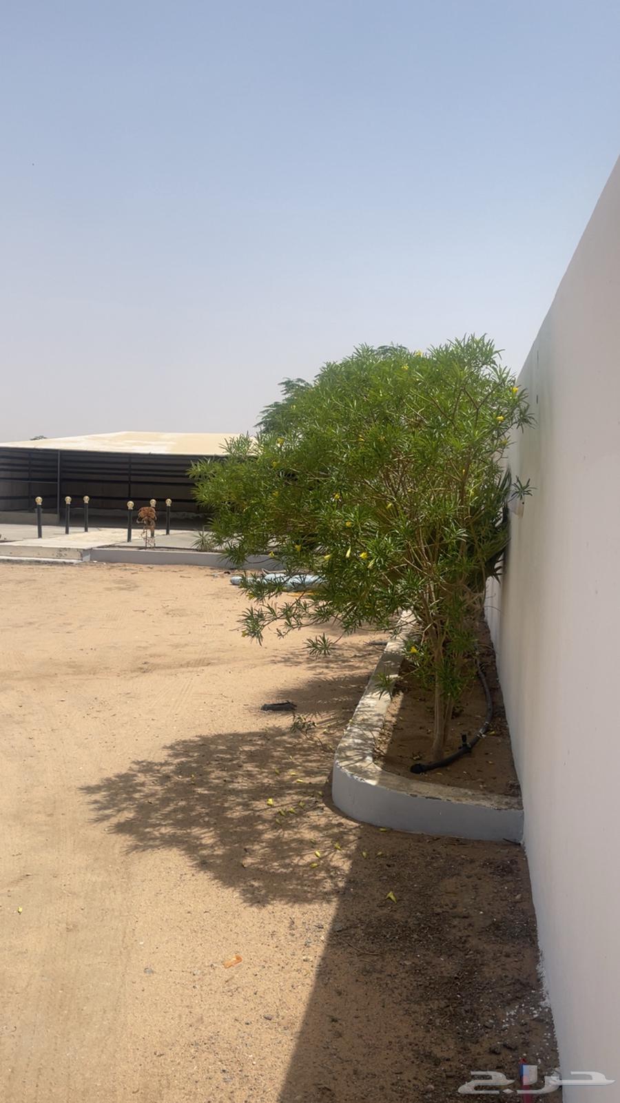 Rest area63614101959426112