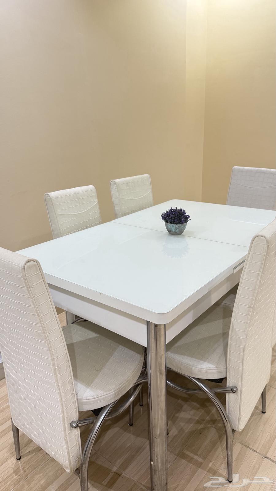 Dining table with 6 chairs in excellent condition64402161748993111