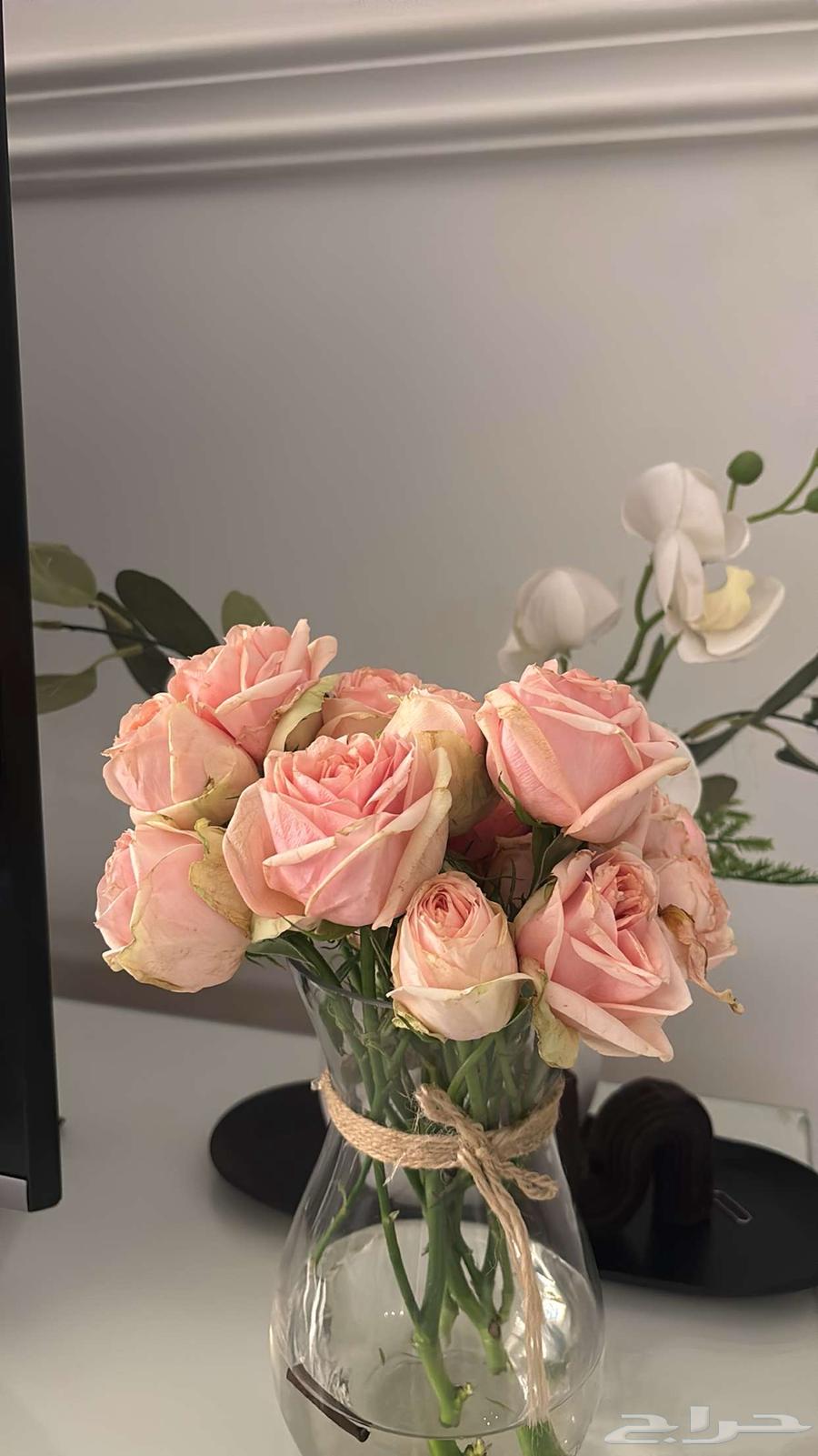 بيبي روز ب اسعار حلوه64402428661250111