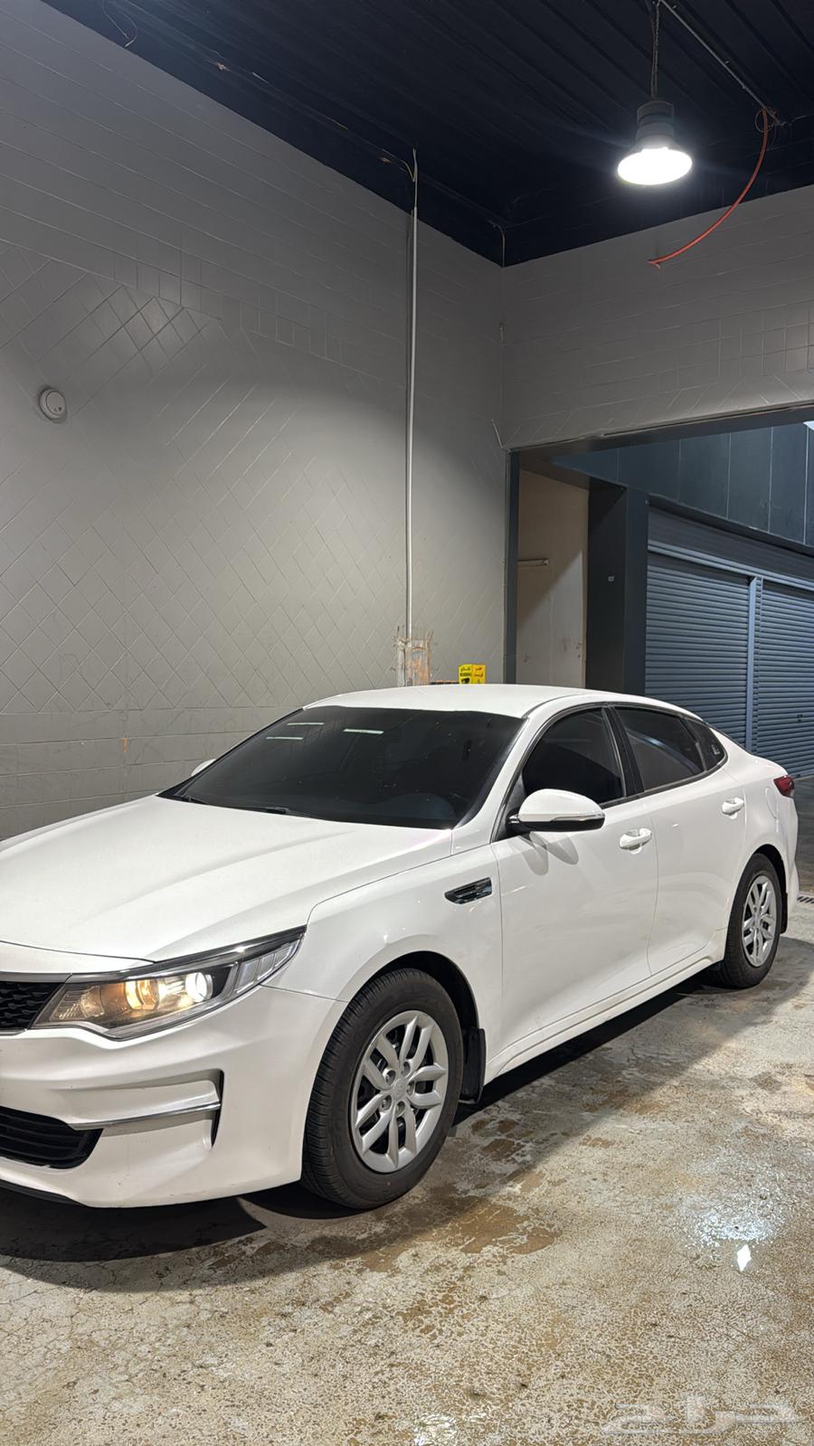 Optima 201763618264509569114