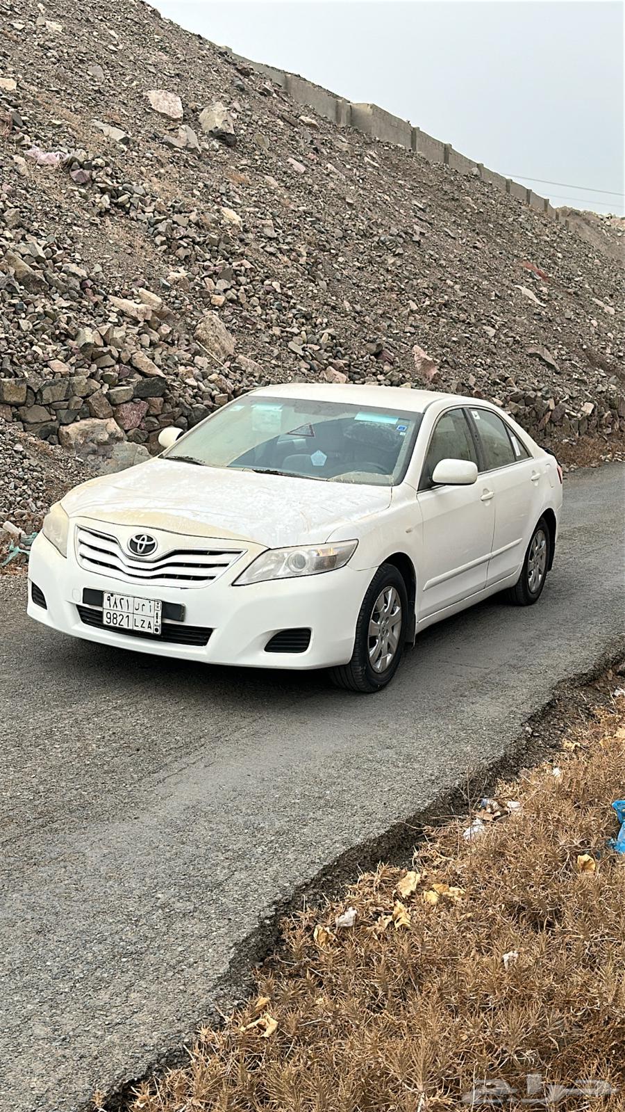 2009 Camry Body Bald64554885806722112