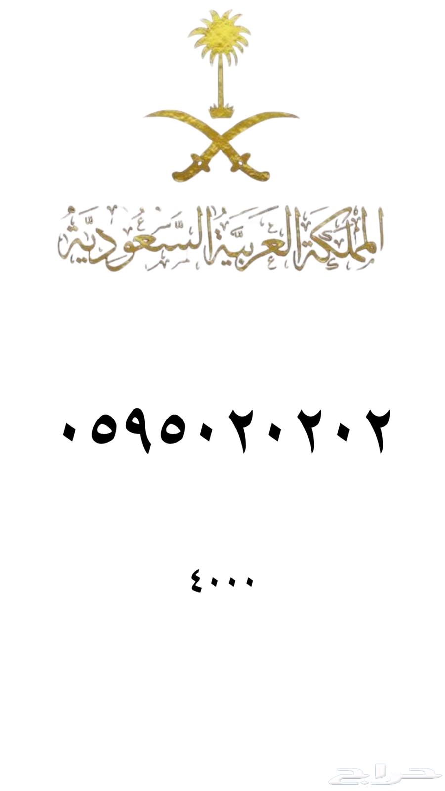 Special Numbers STC63619652738178112
