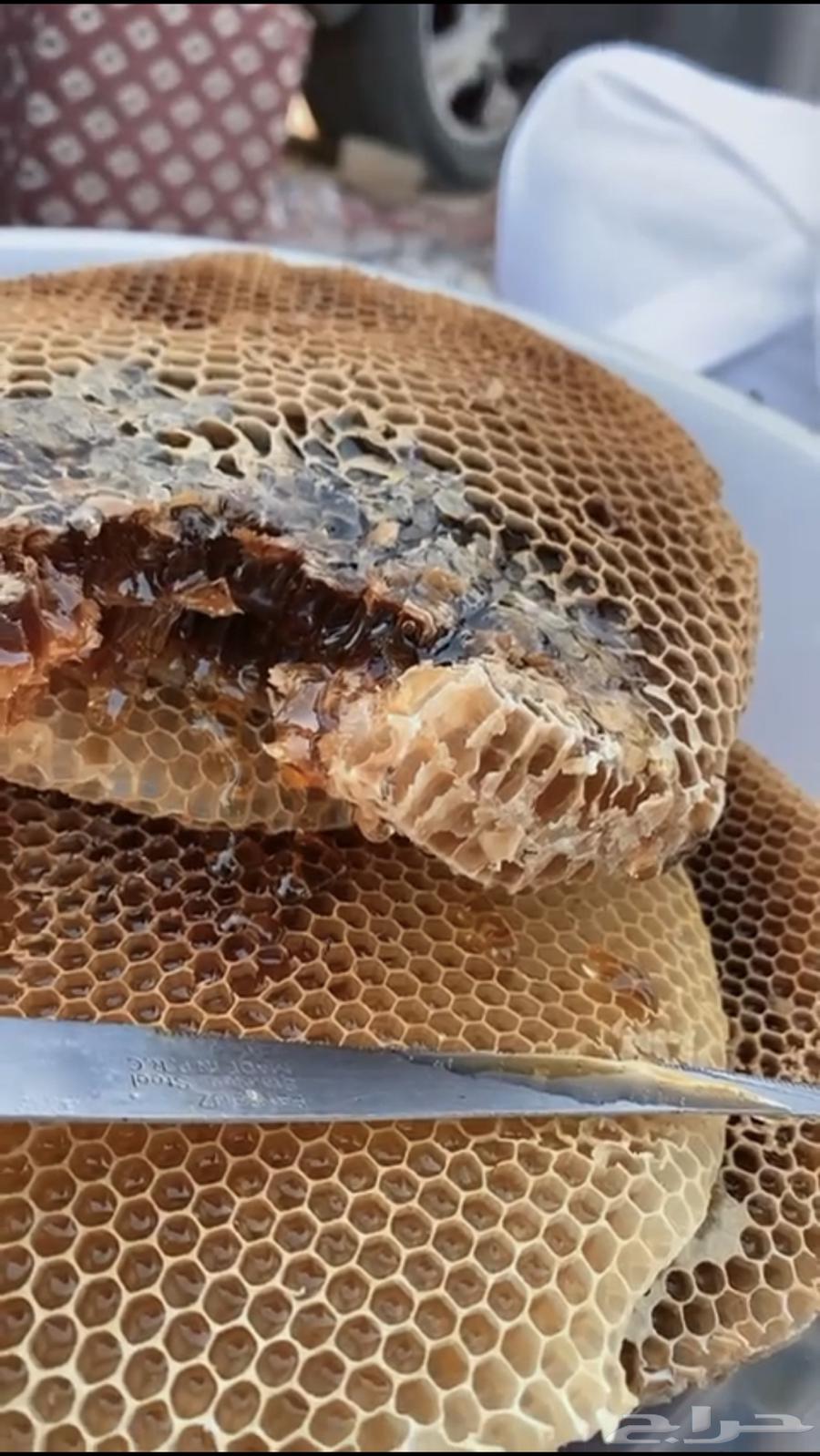 عسل جبلي صافي جديد من منحلي شخصيا64404444875393110
