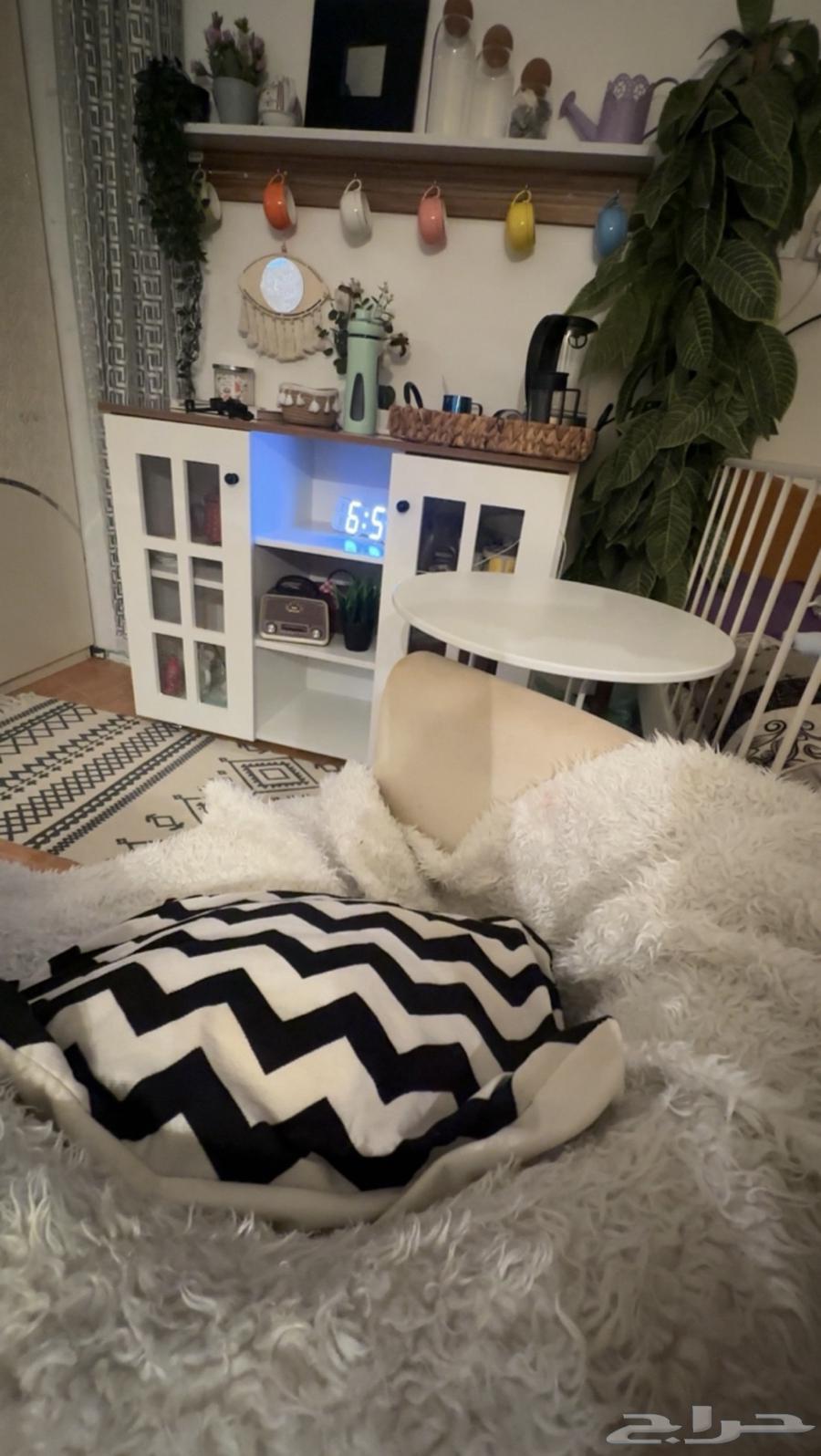 ركن الكوفي أخو جديد64404847526530110